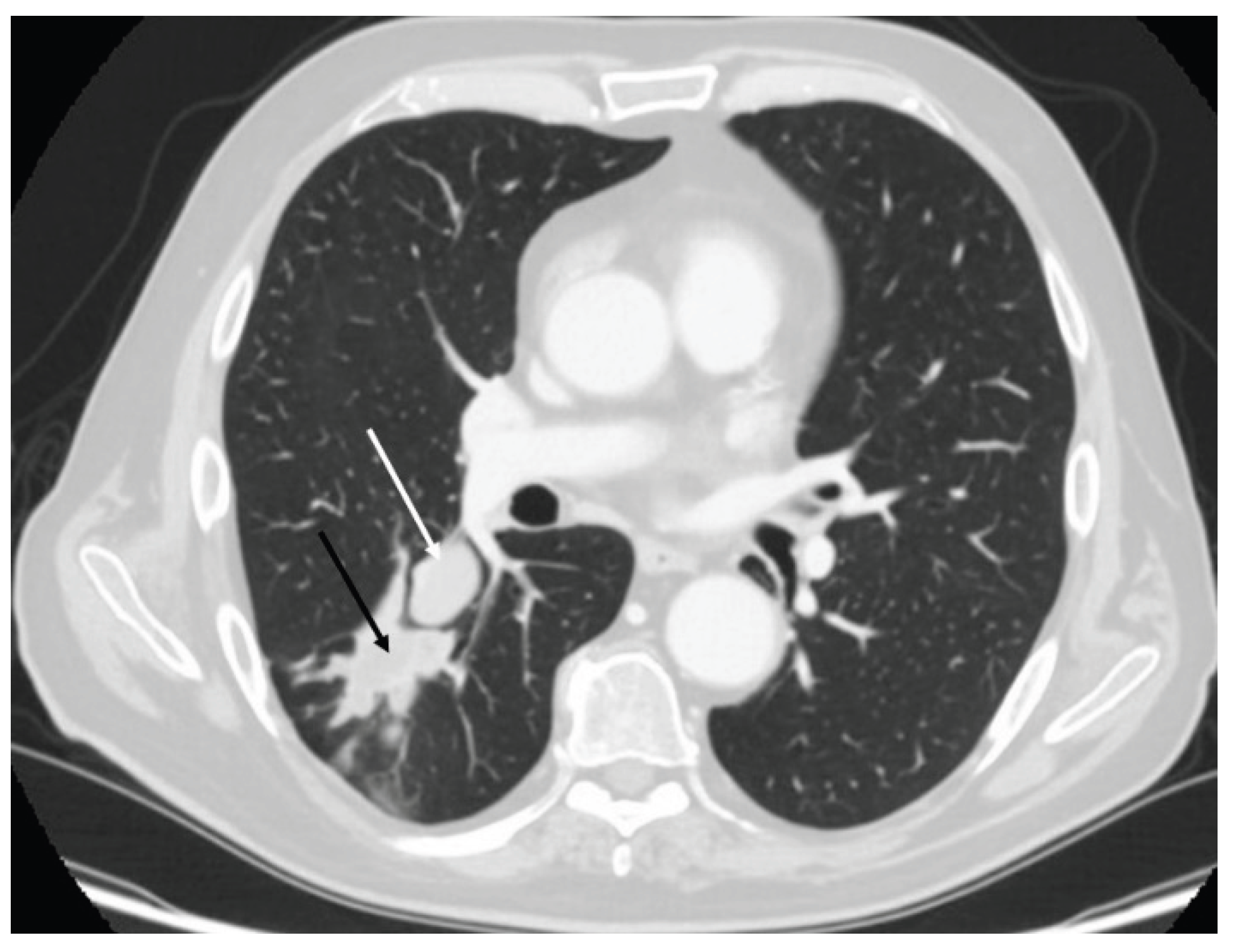 Preprints 167694 g002