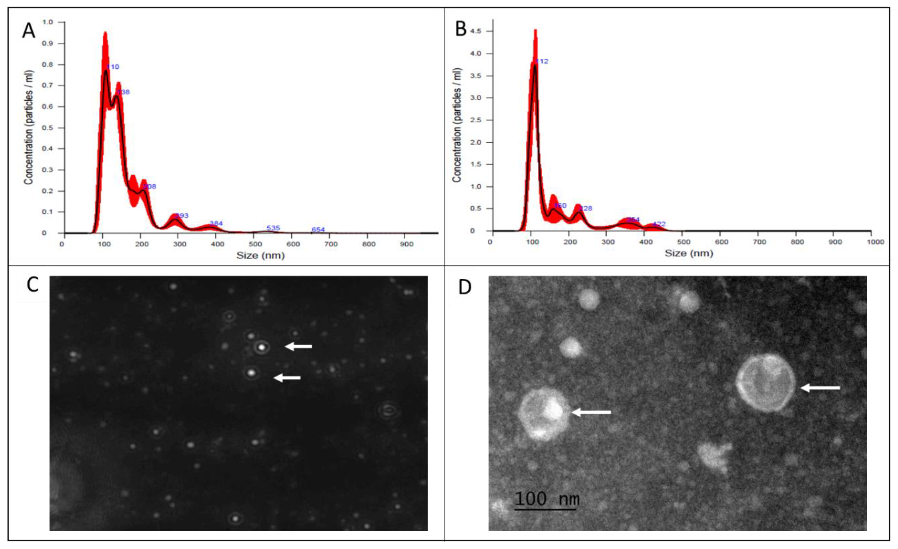 Preprints 157055 g001