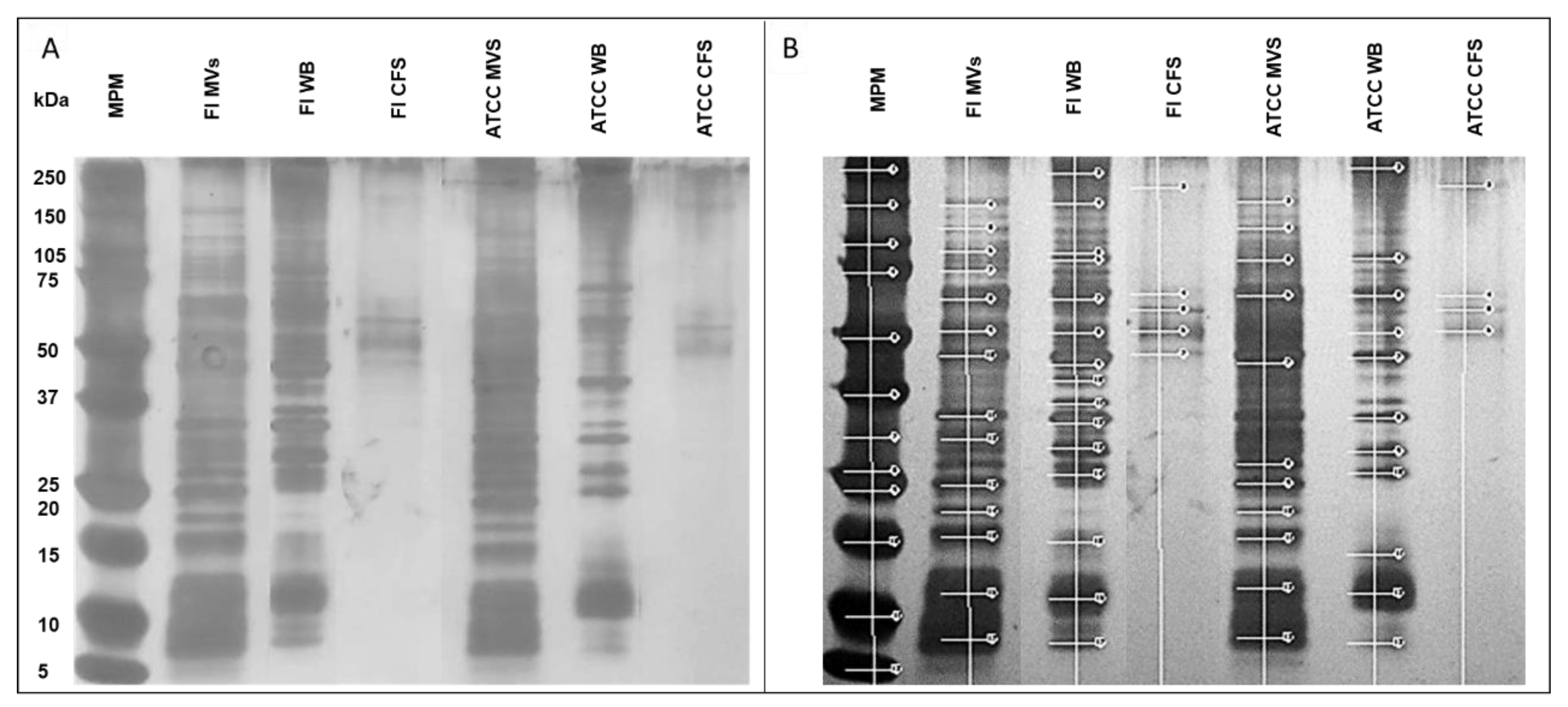 Preprints 157055 g002