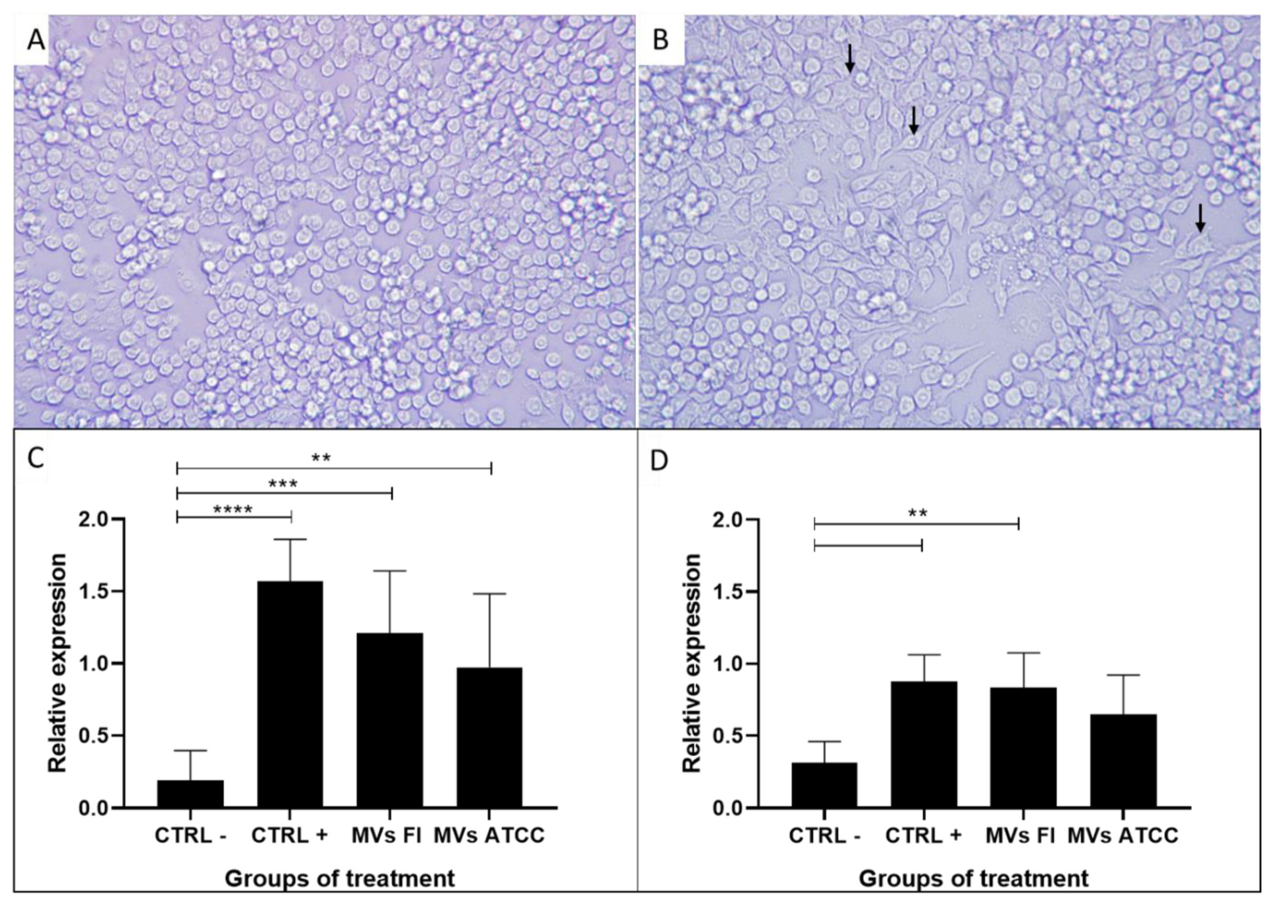 Preprints 157055 g006