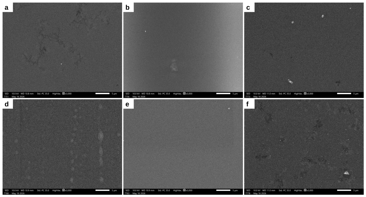 Preprints 234543 g003