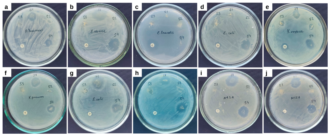 Preprints 234543 g007