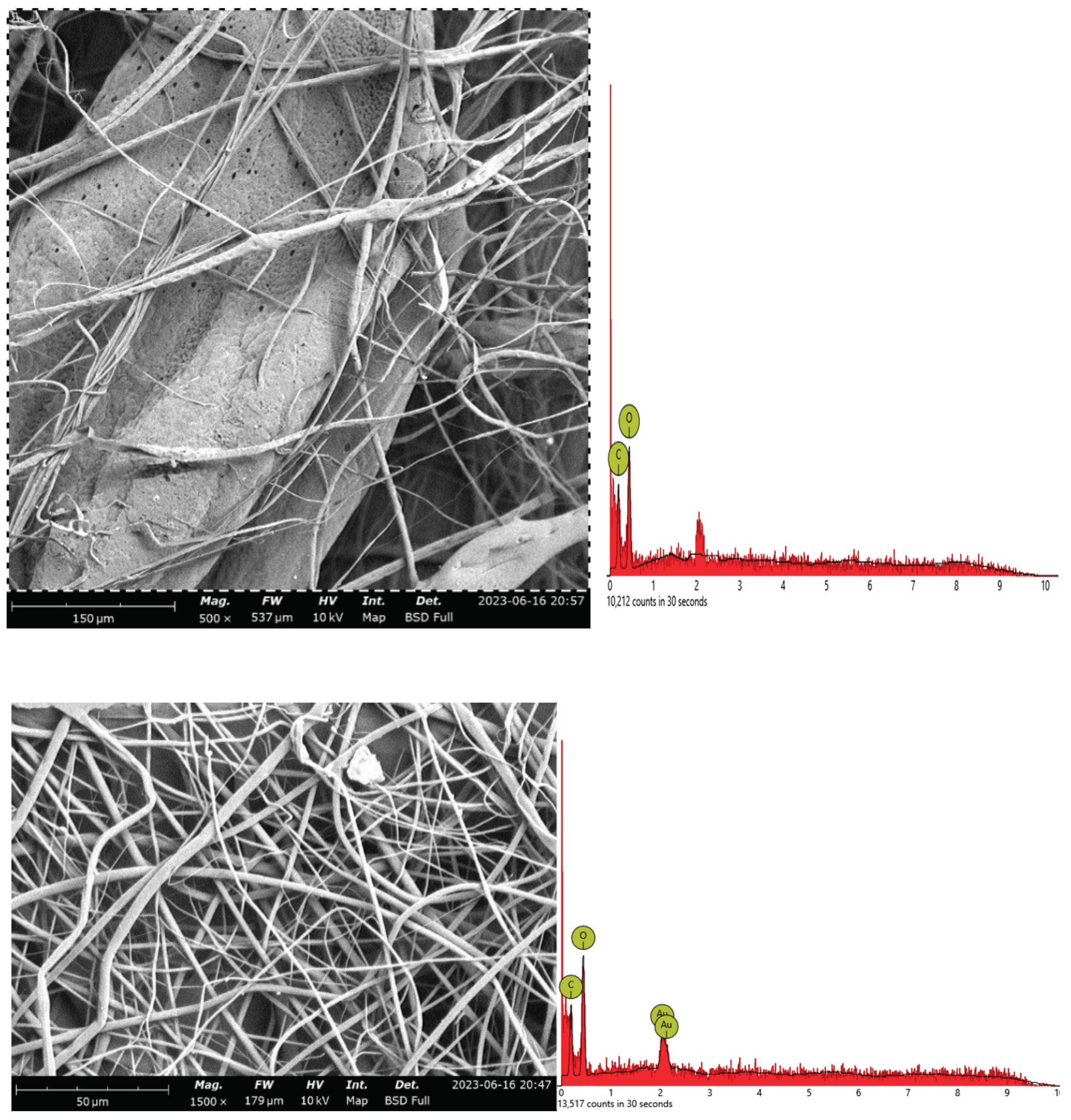 Preprints 206018 g005