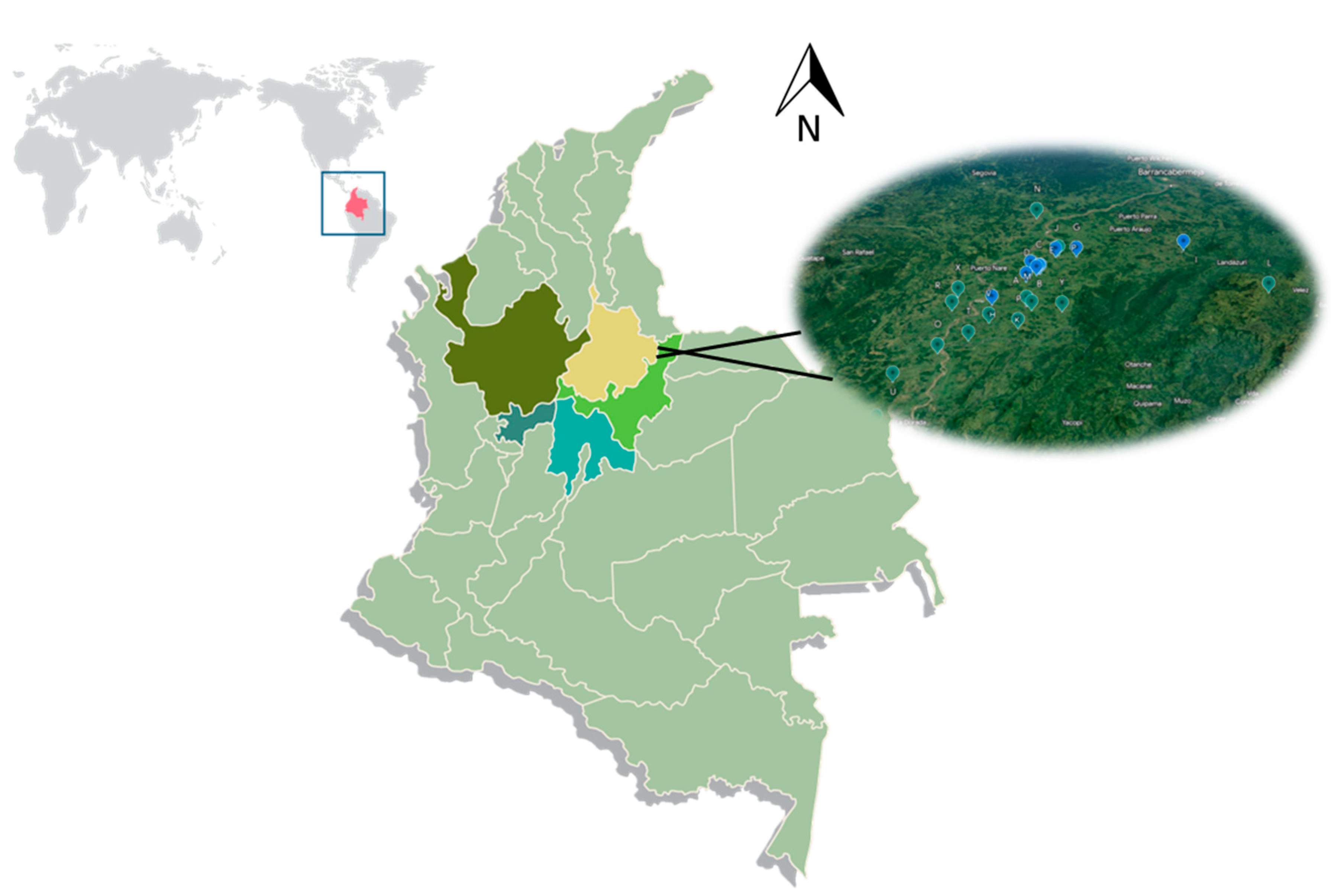Preprints 87110 g001