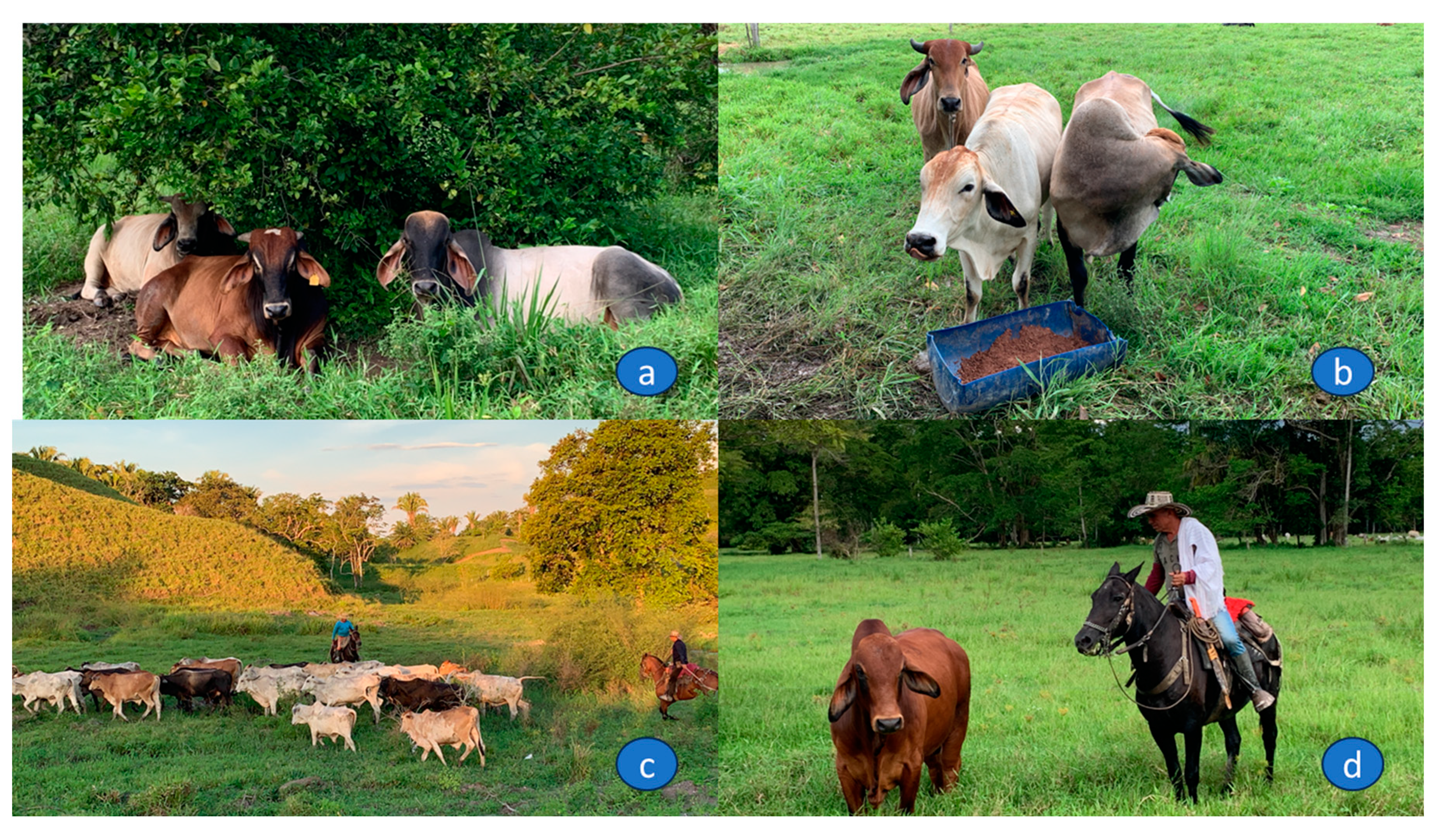 Preprints 87110 g002