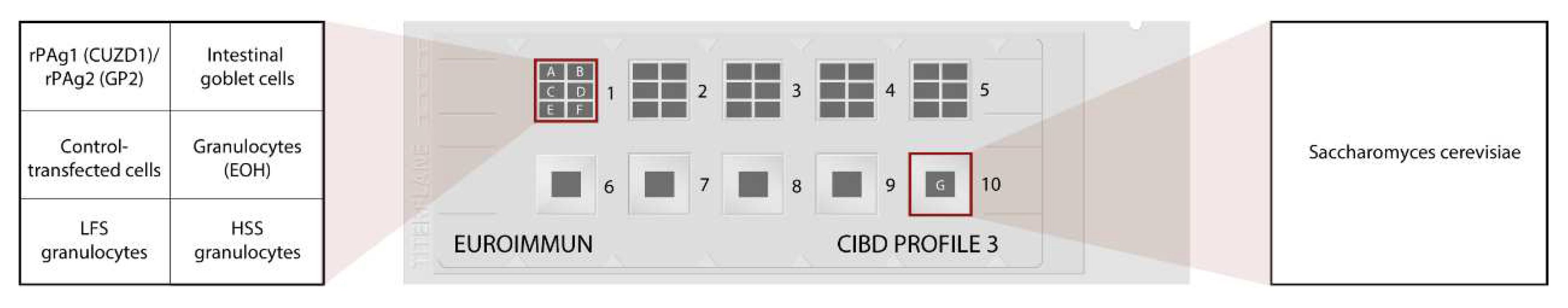 Preprints 87367 g001