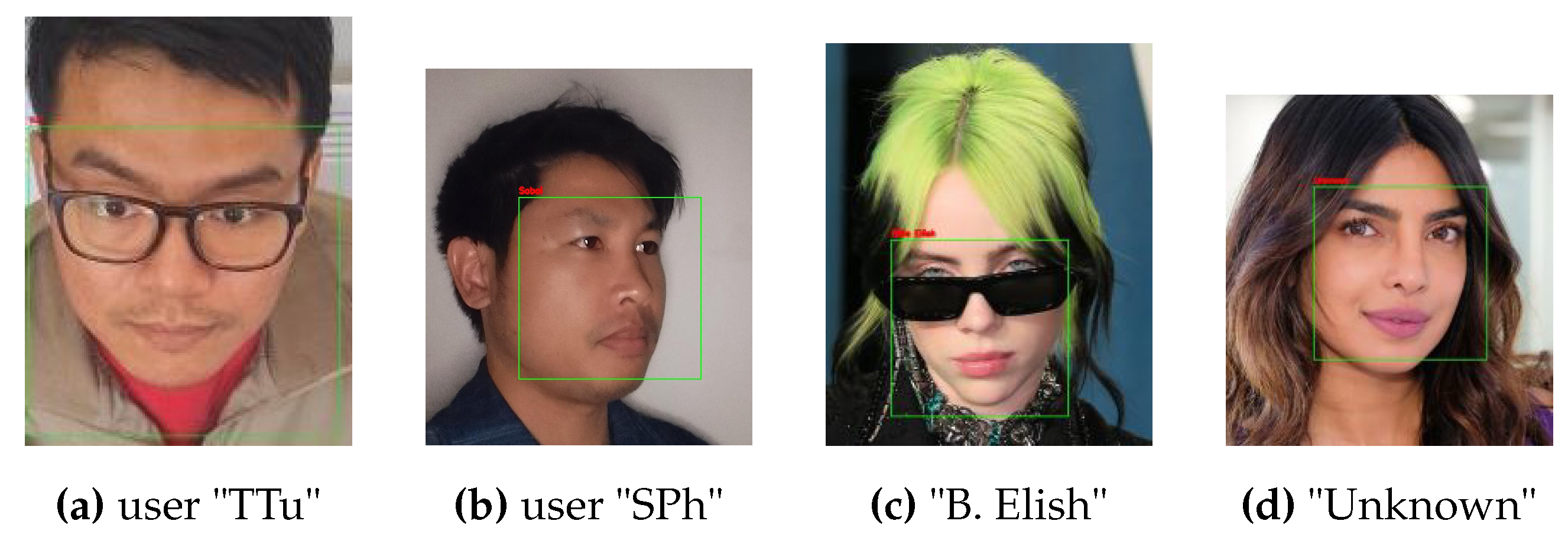 Preprints 147179 g010