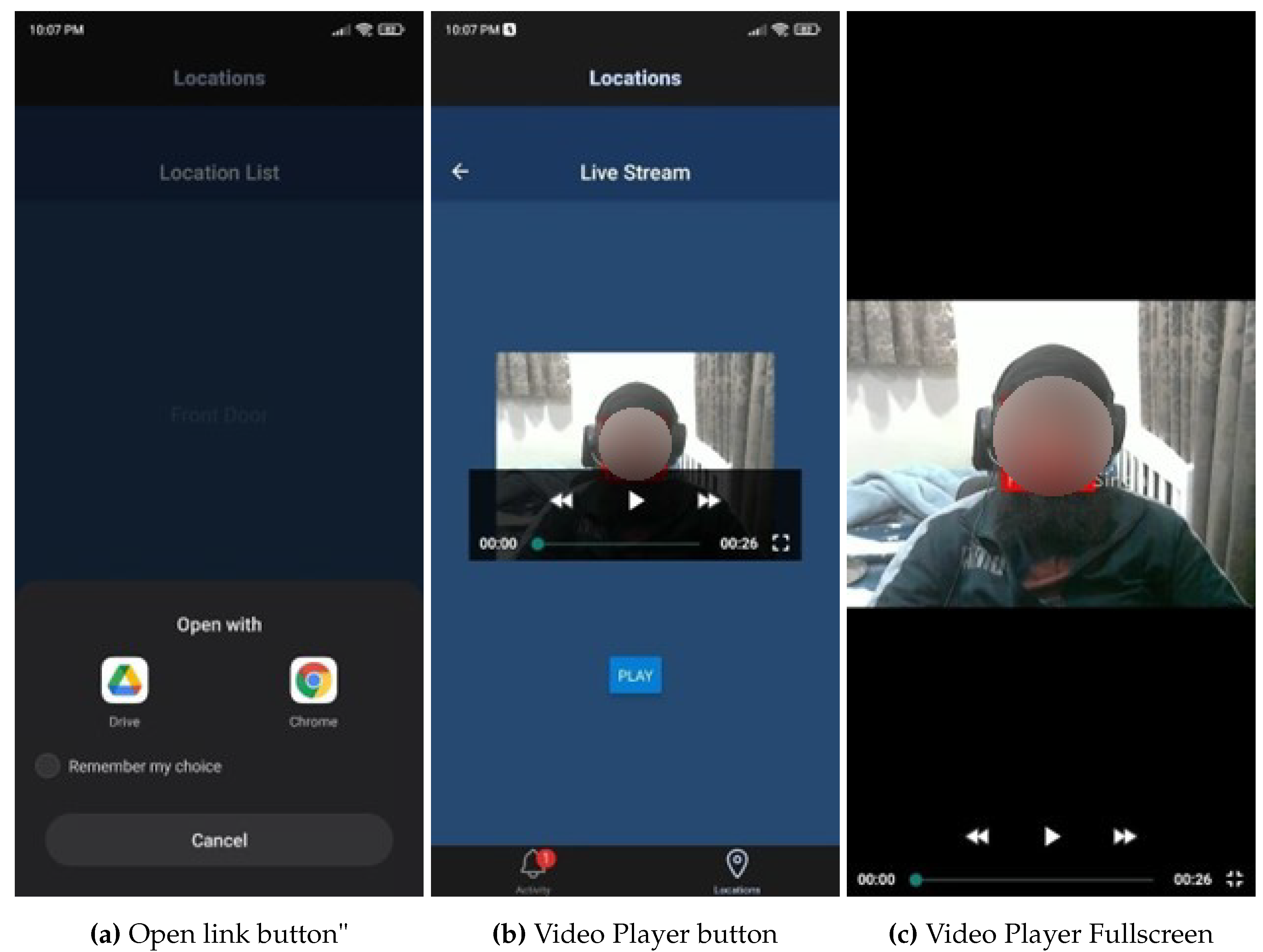 Preprints 147179 g015