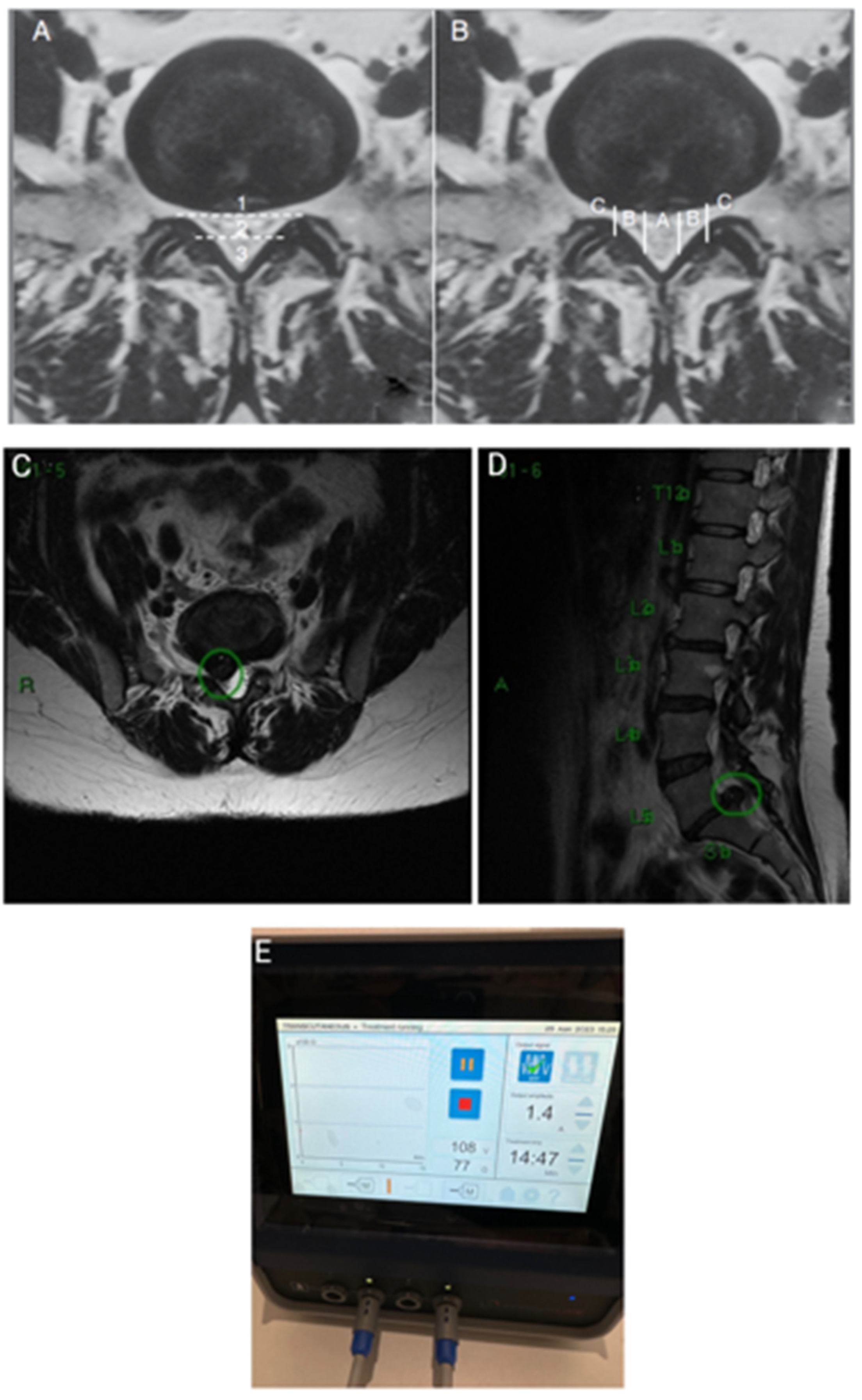 Preprints 154929 g001
