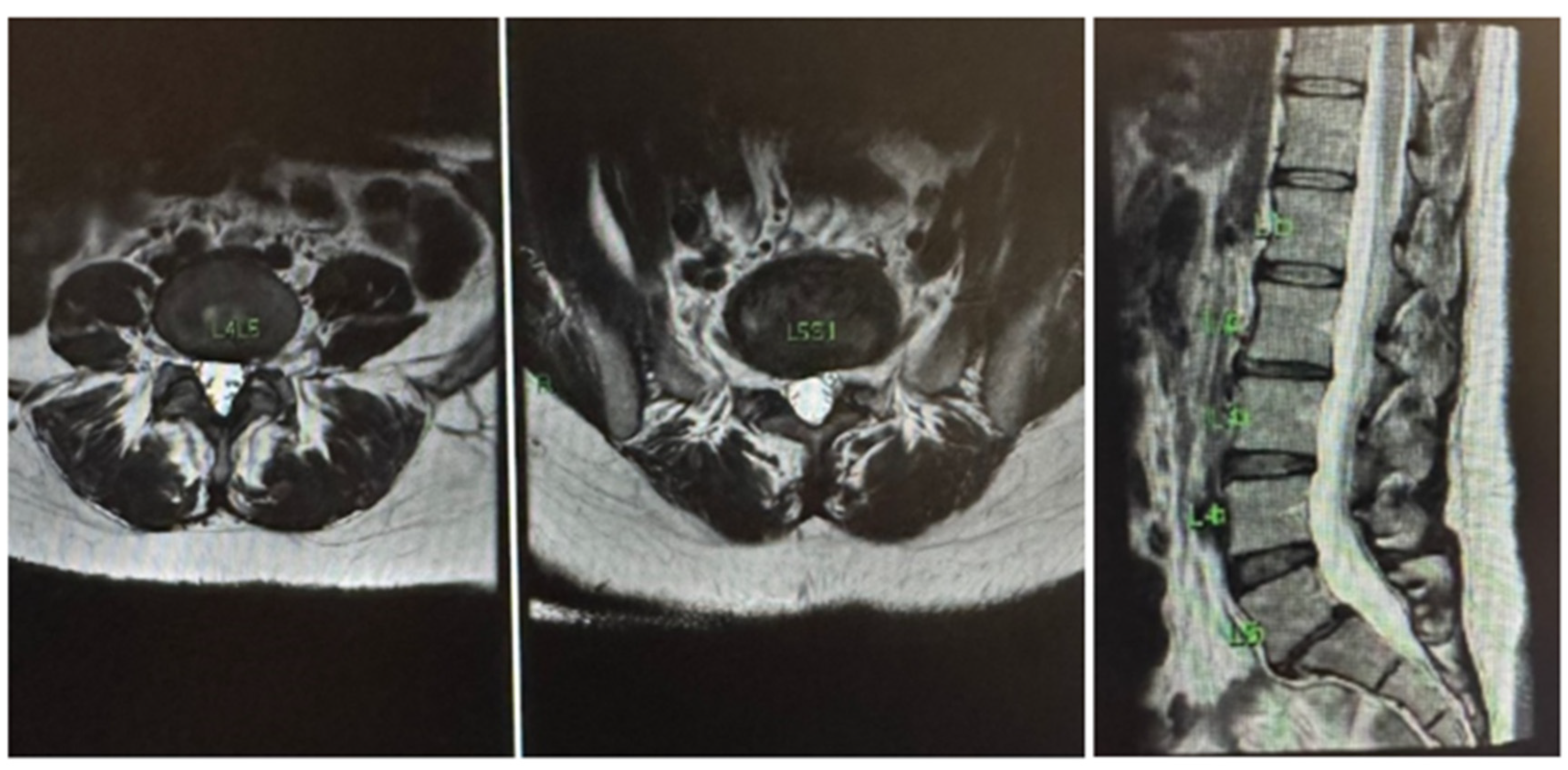 Preprints 154929 g002