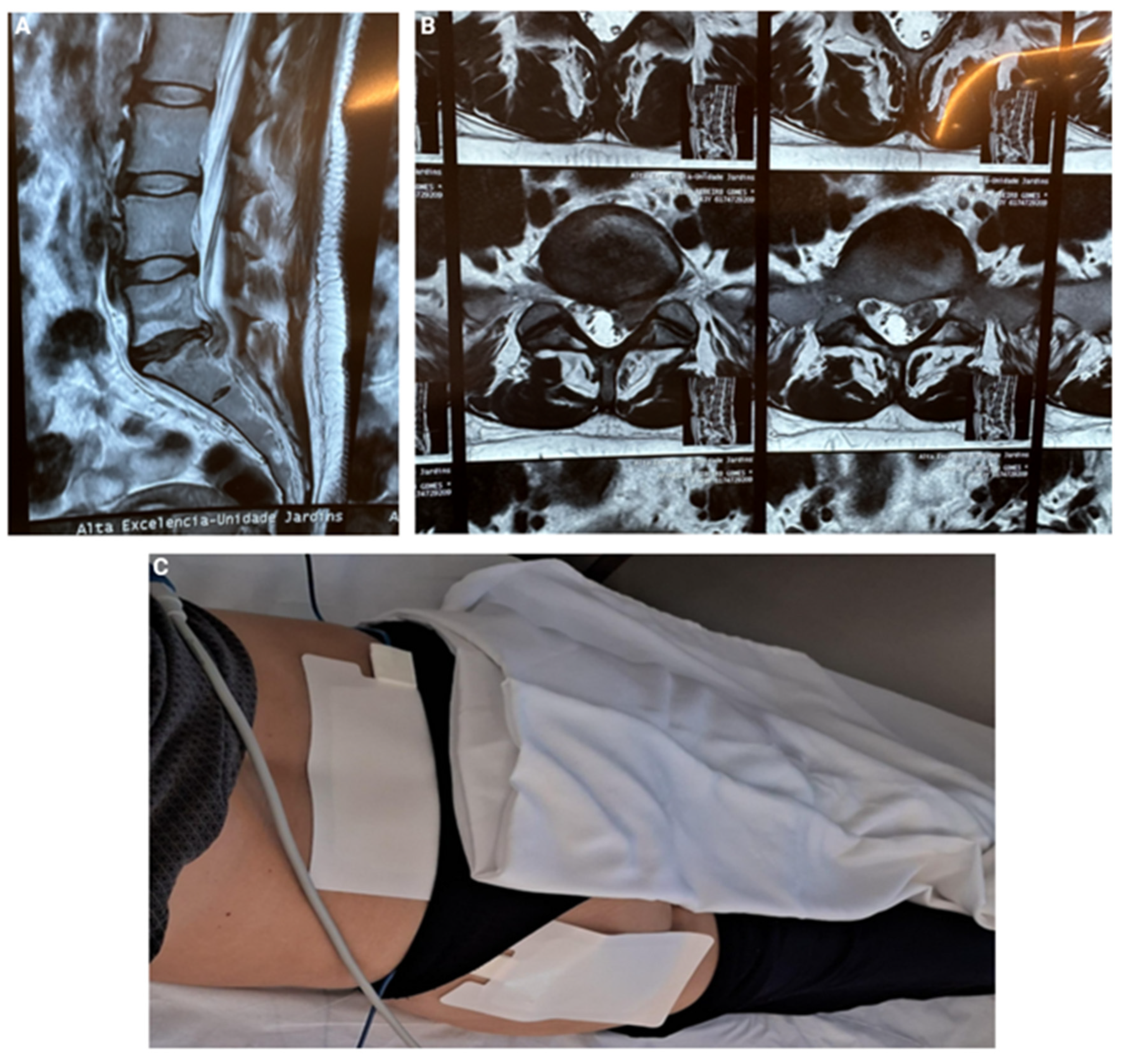 Preprints 154929 g003