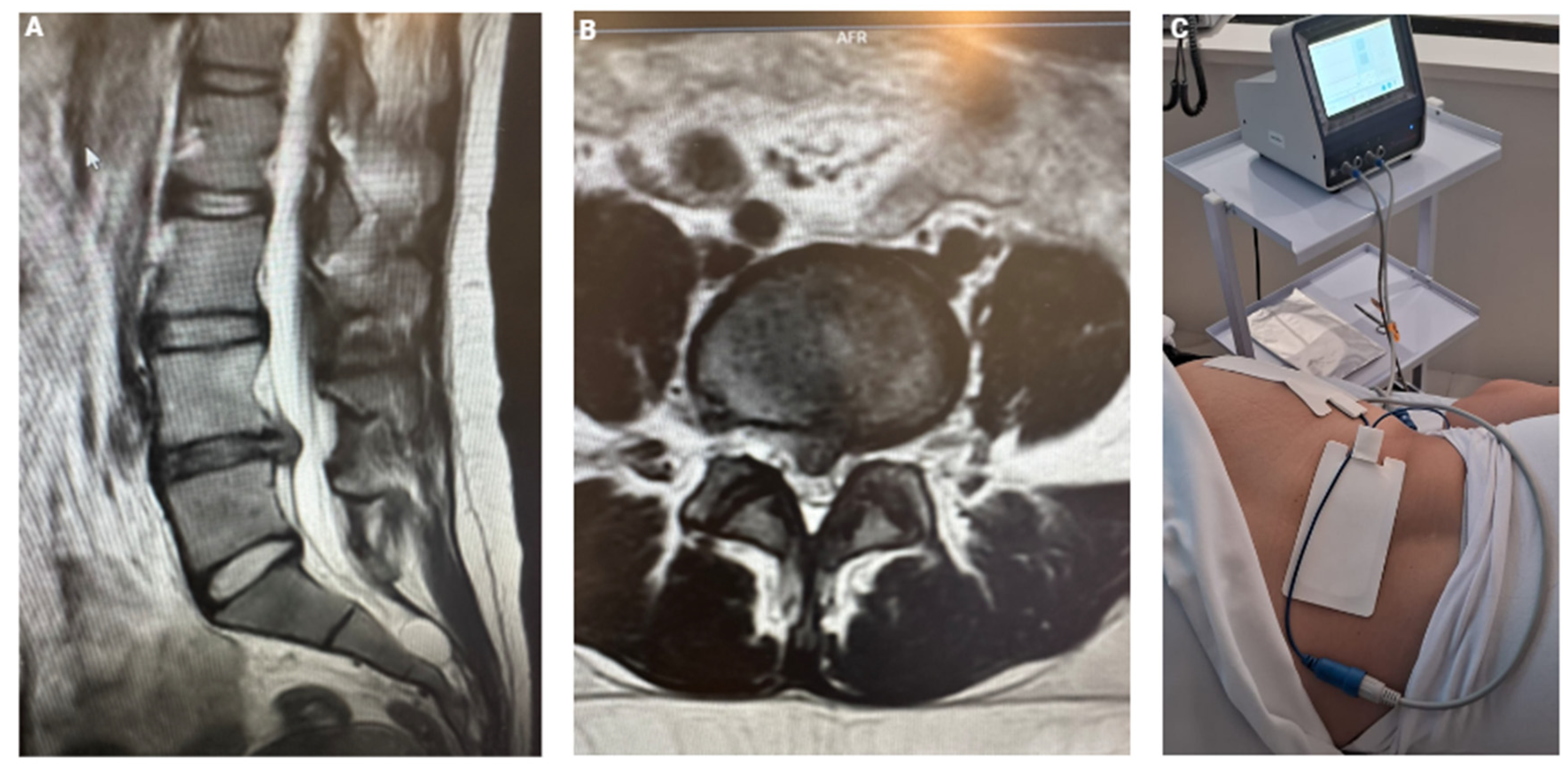 Preprints 154929 g005