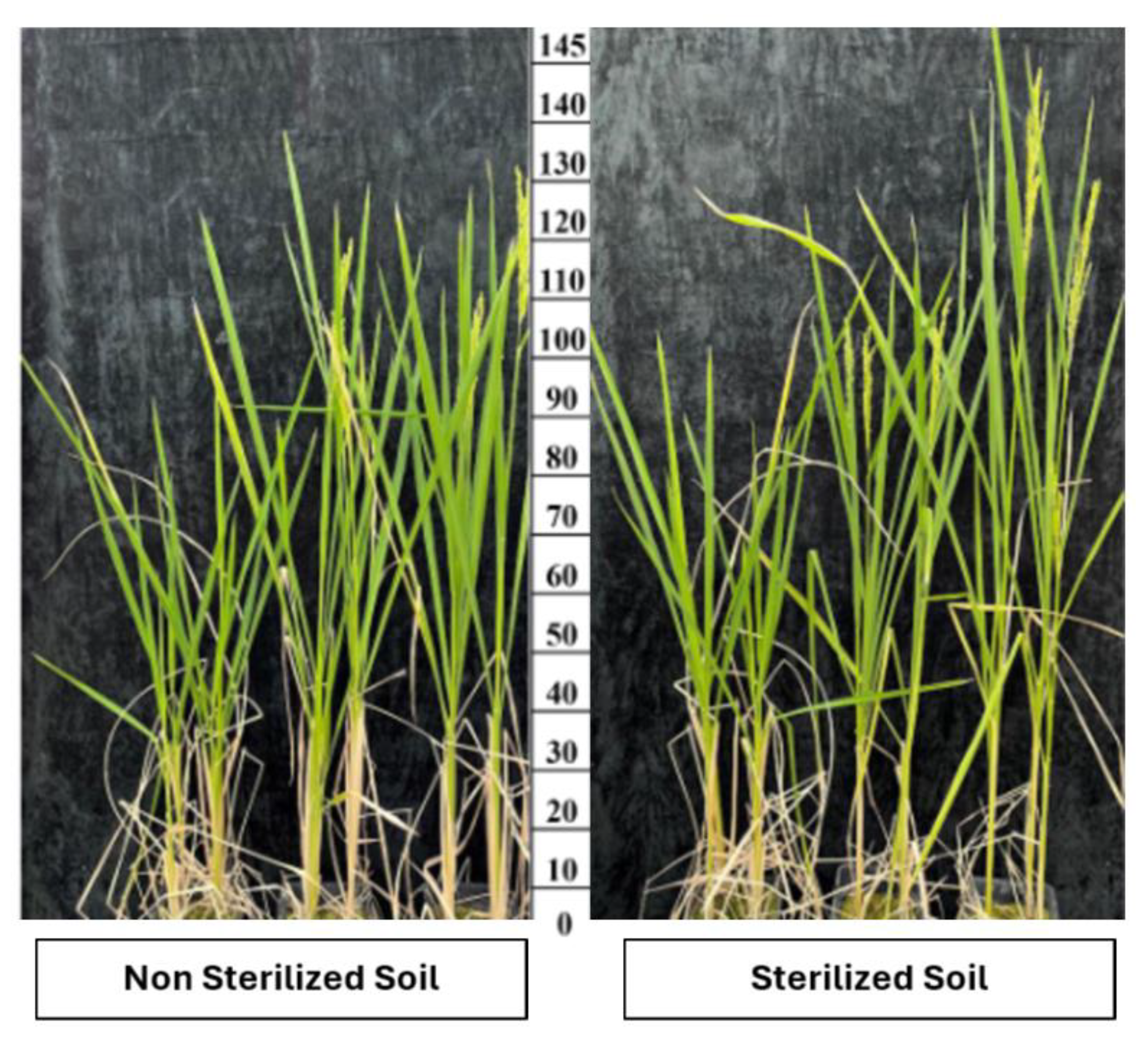 Preprints 161580 g003