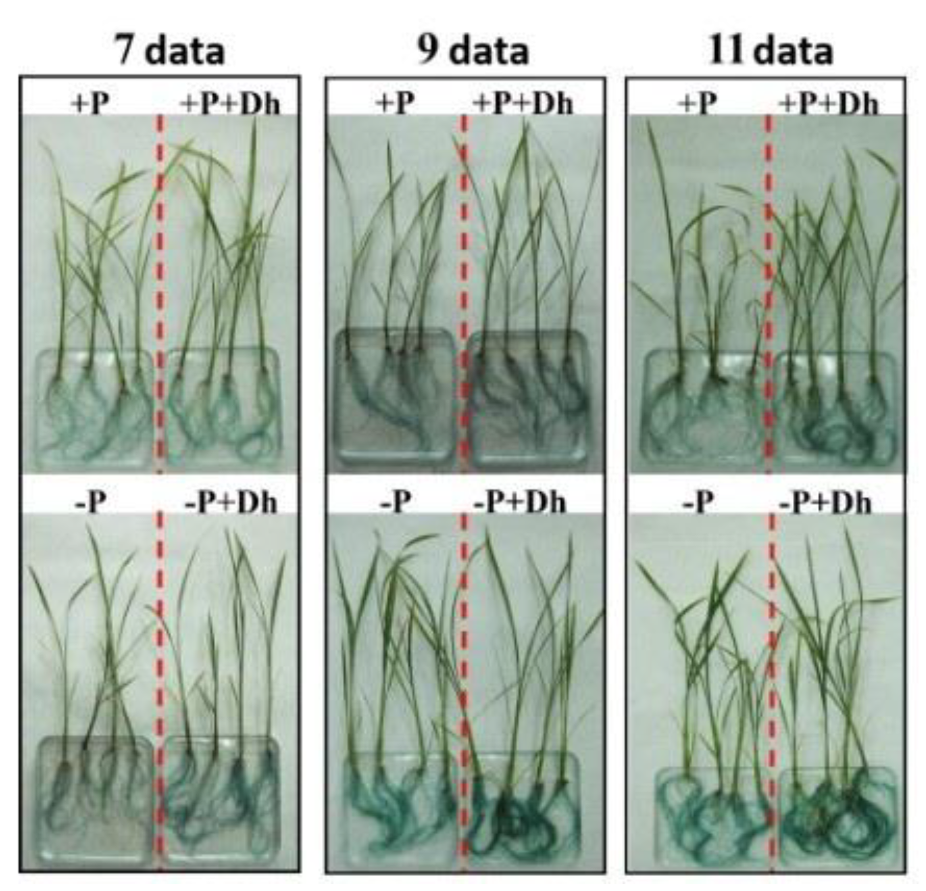 Preprints 161580 g005