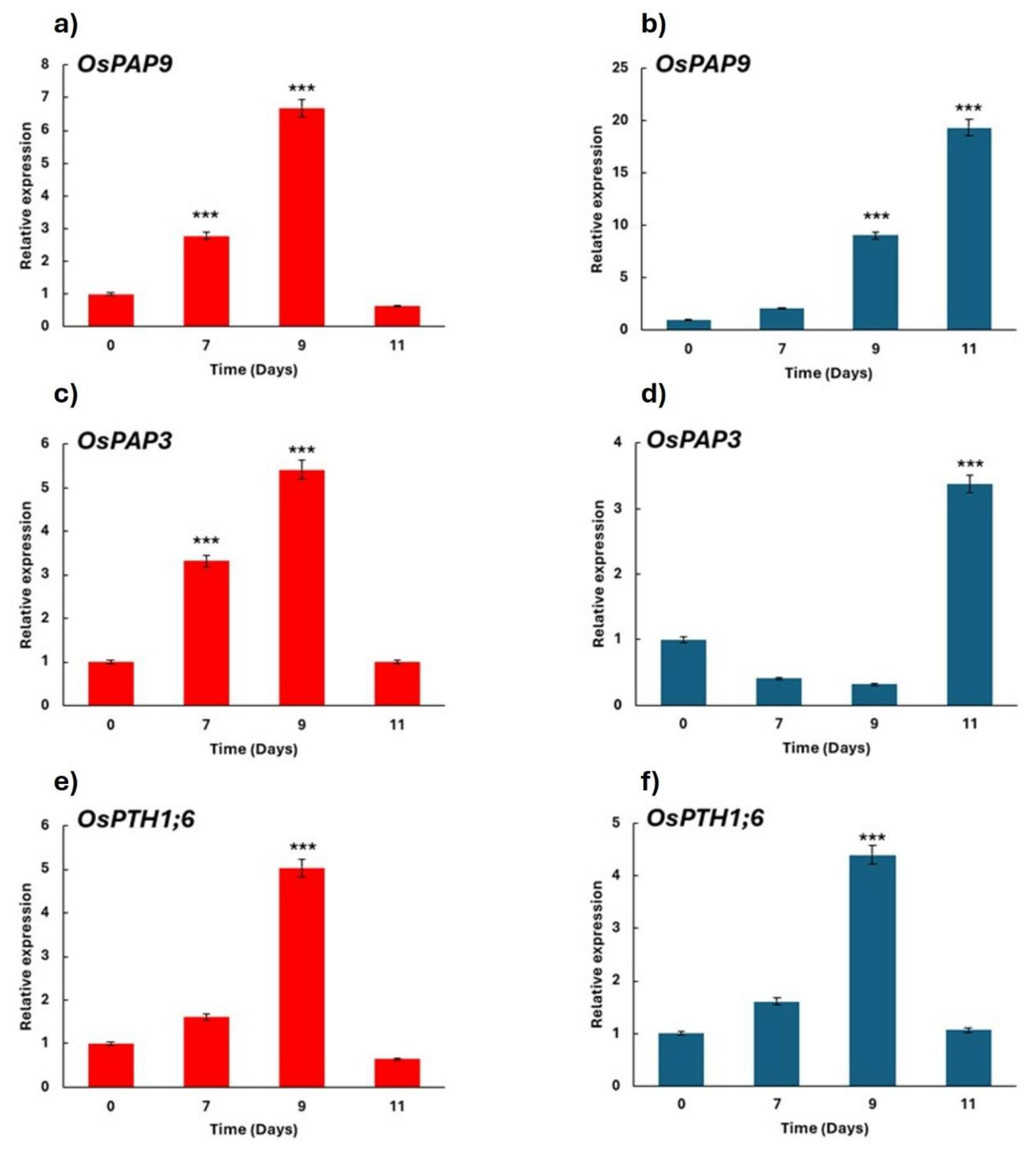 Preprints 161580 g006