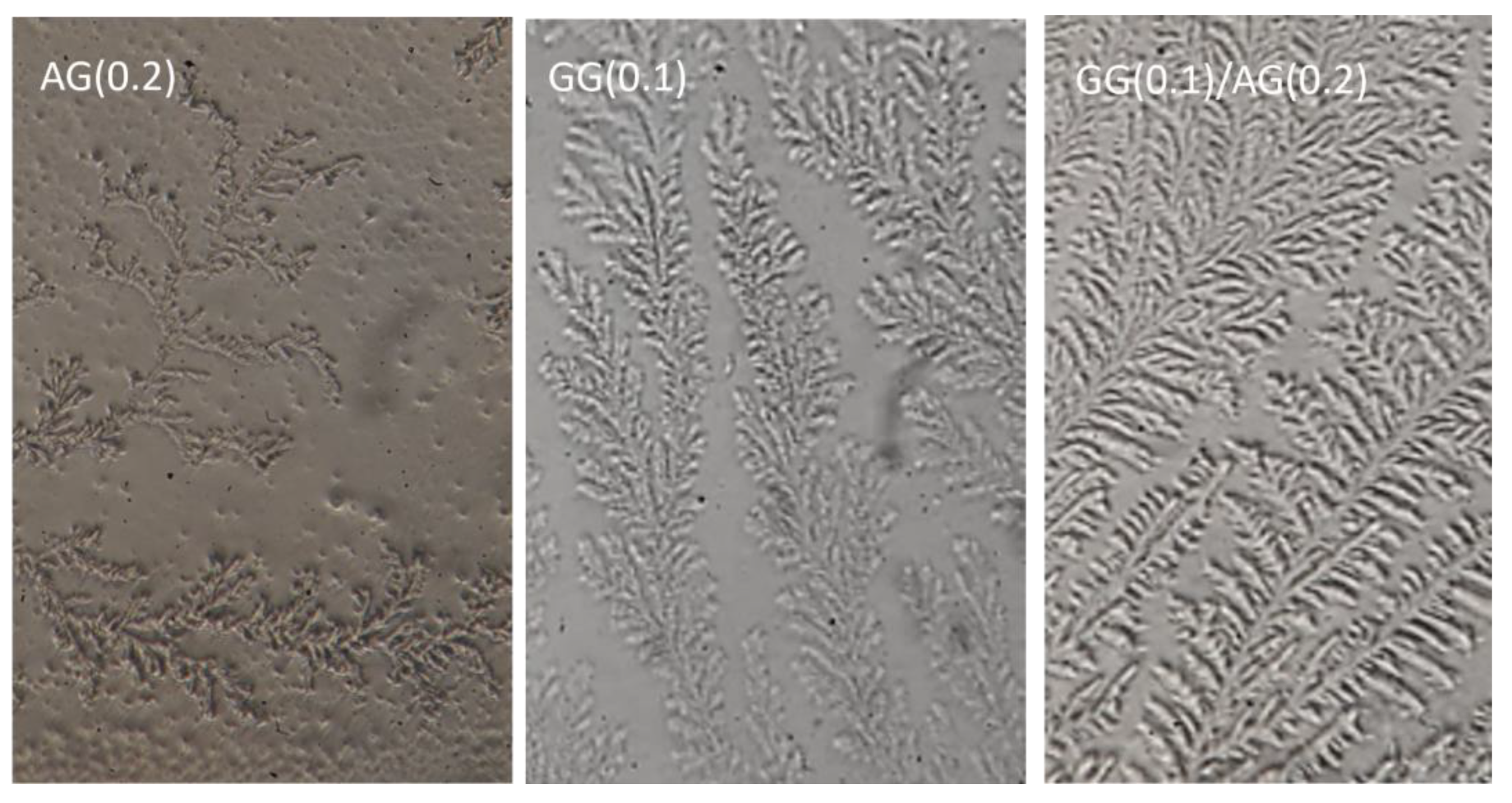Preprints 177387 g007
