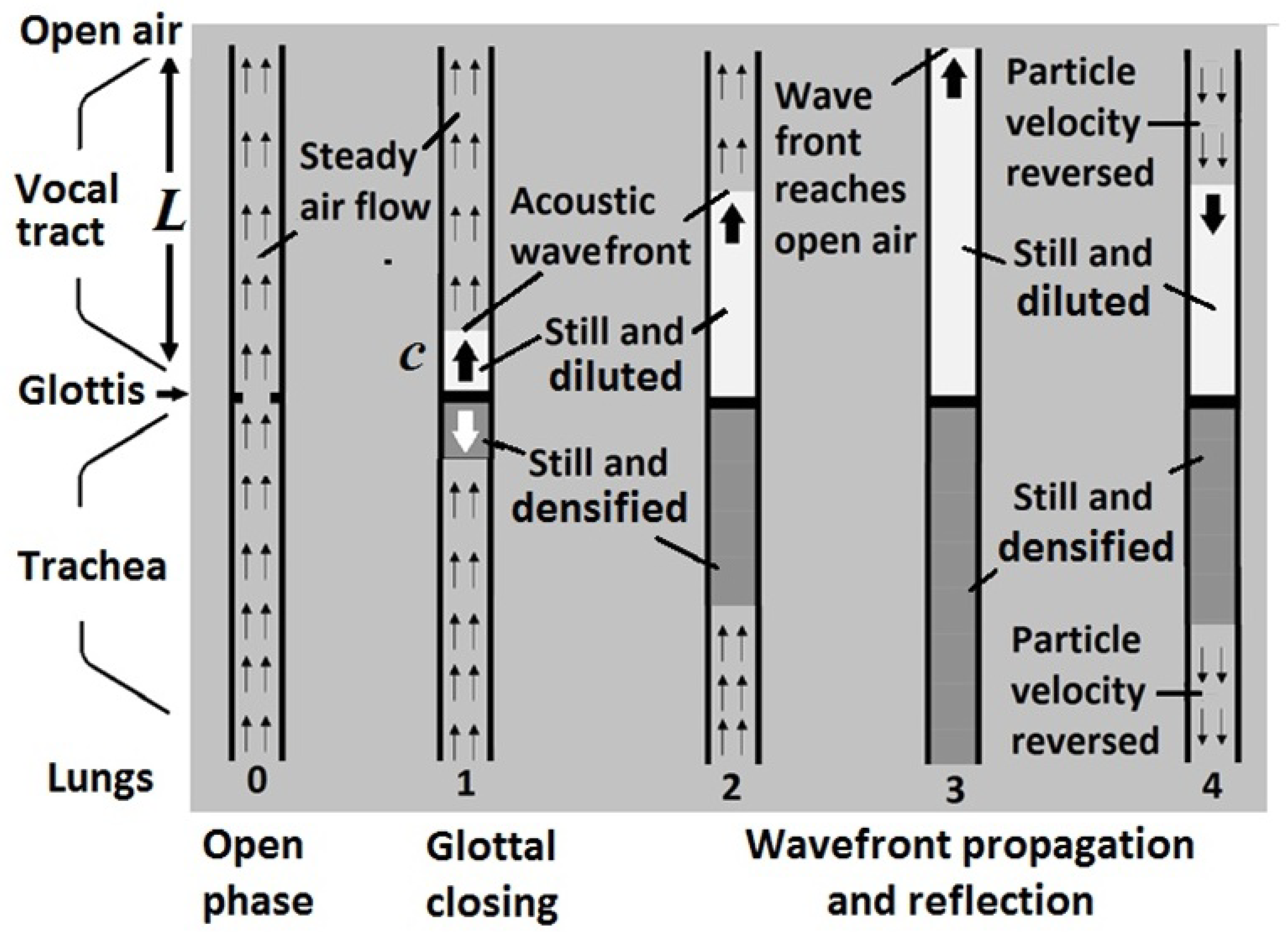 Preprints 174224 g006