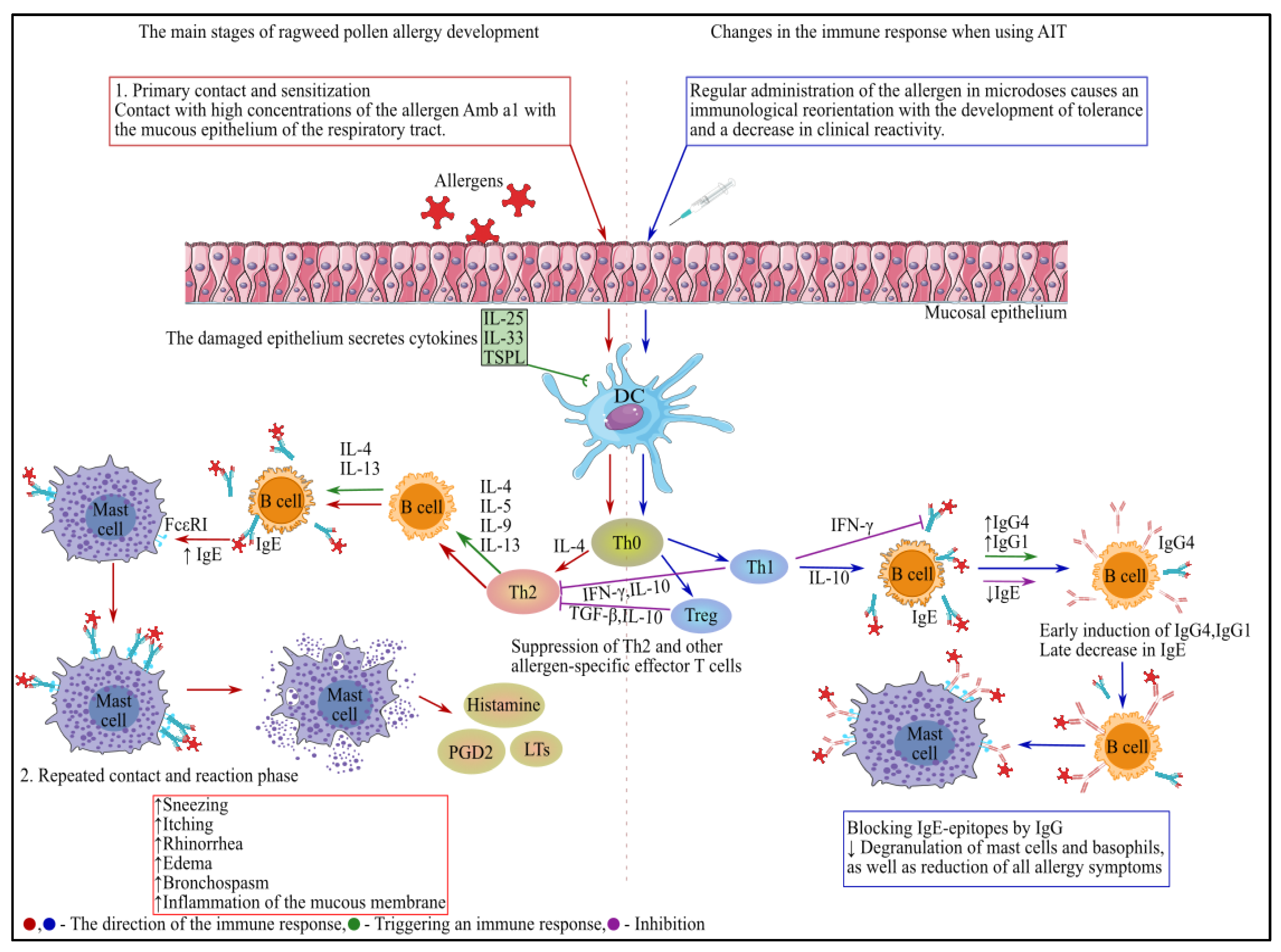 Preprints 227420 g001