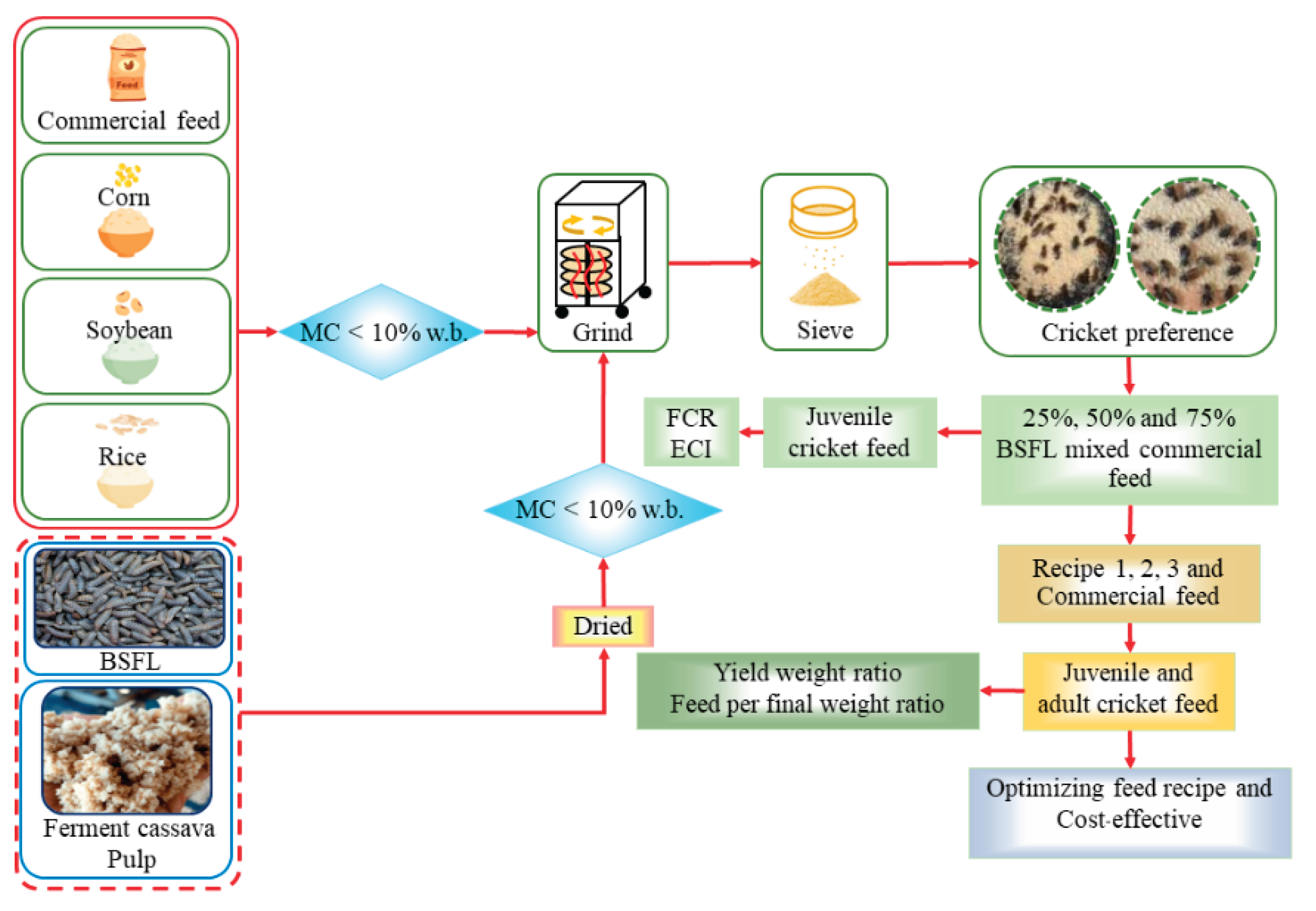 Preprints 166210 g001