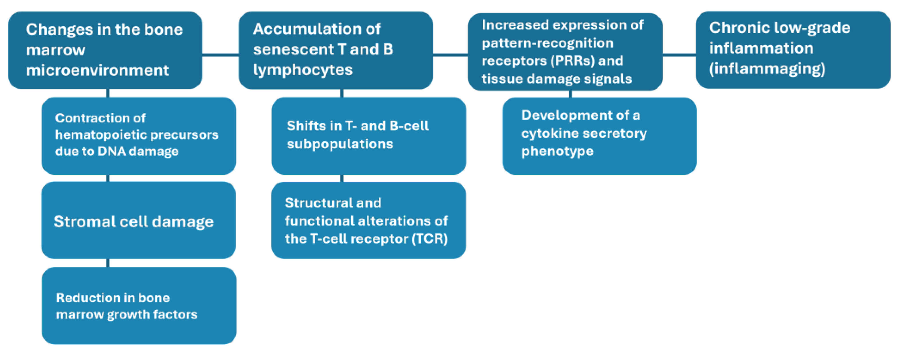 Preprints 194824 g002