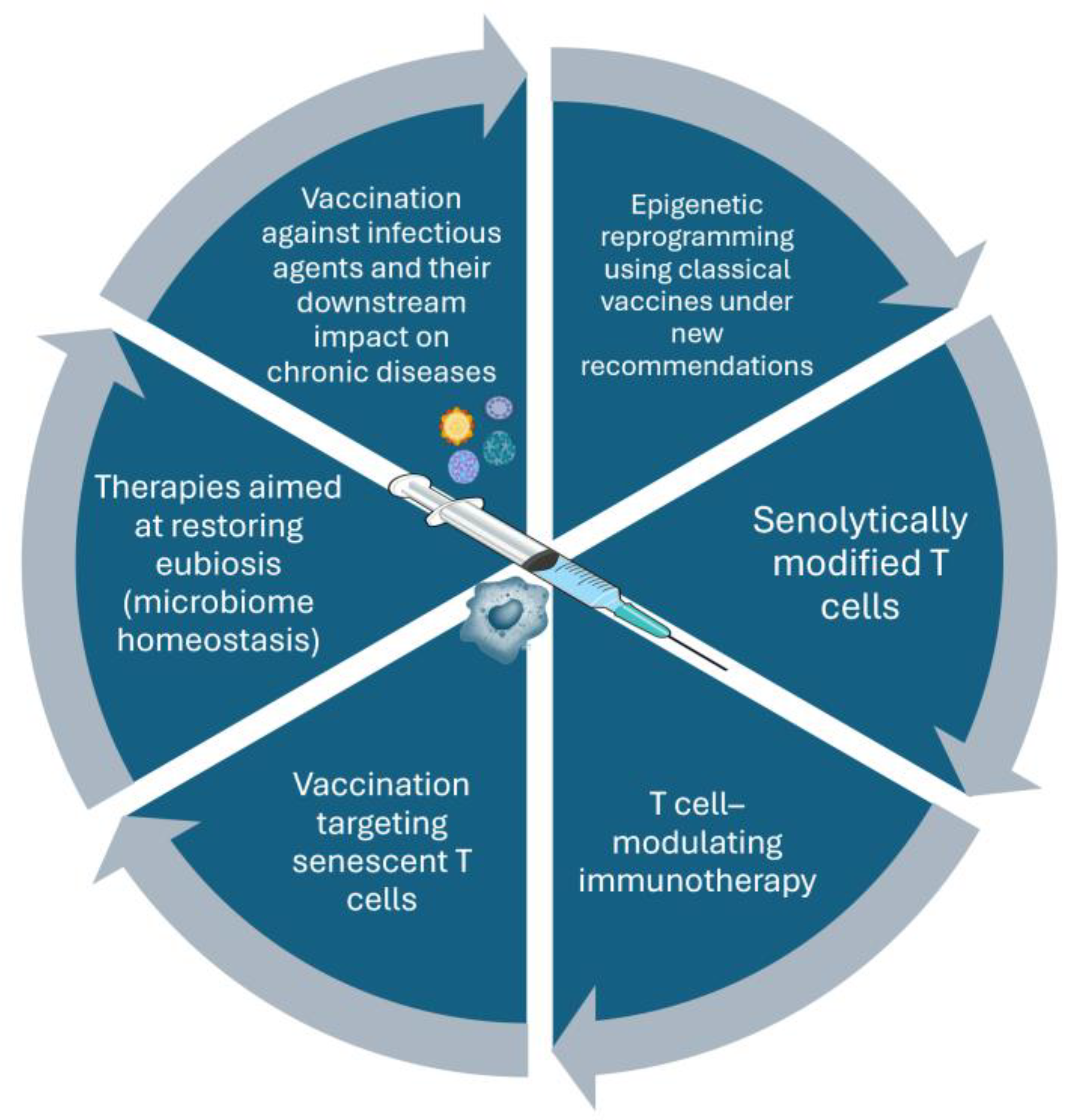 Preprints 194824 g003