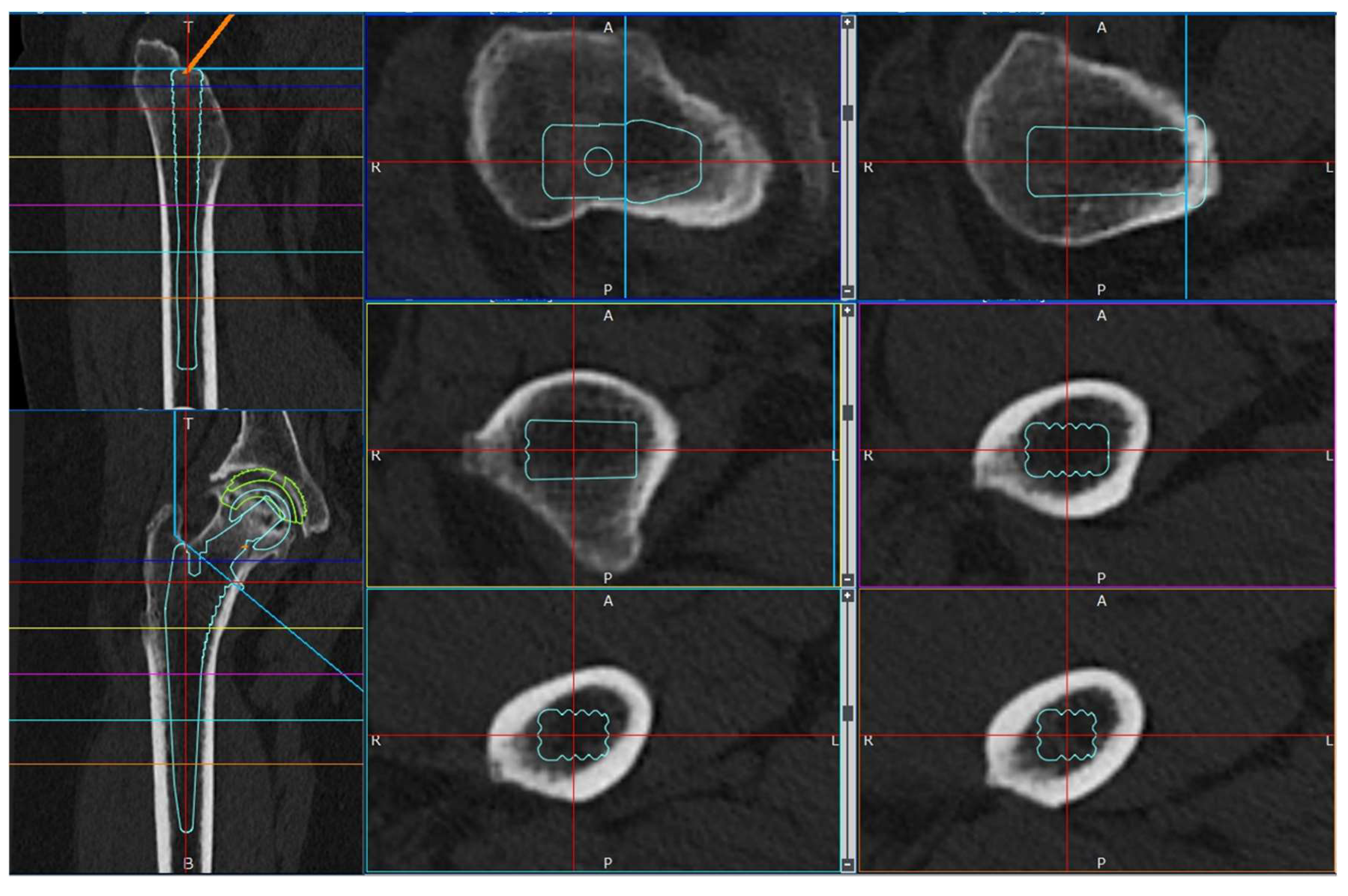 Preprints 146428 g003