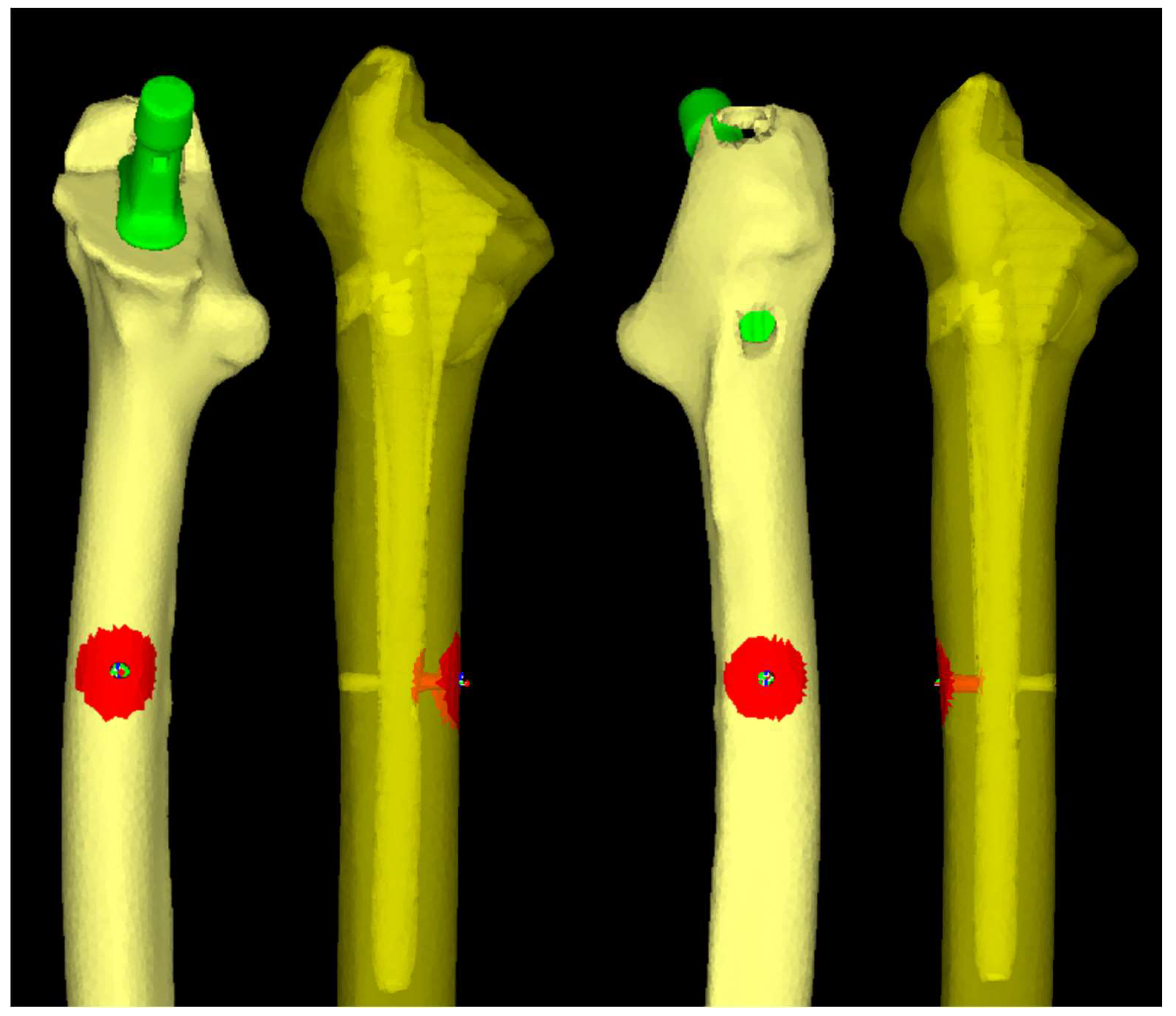 Preprints 146428 g005