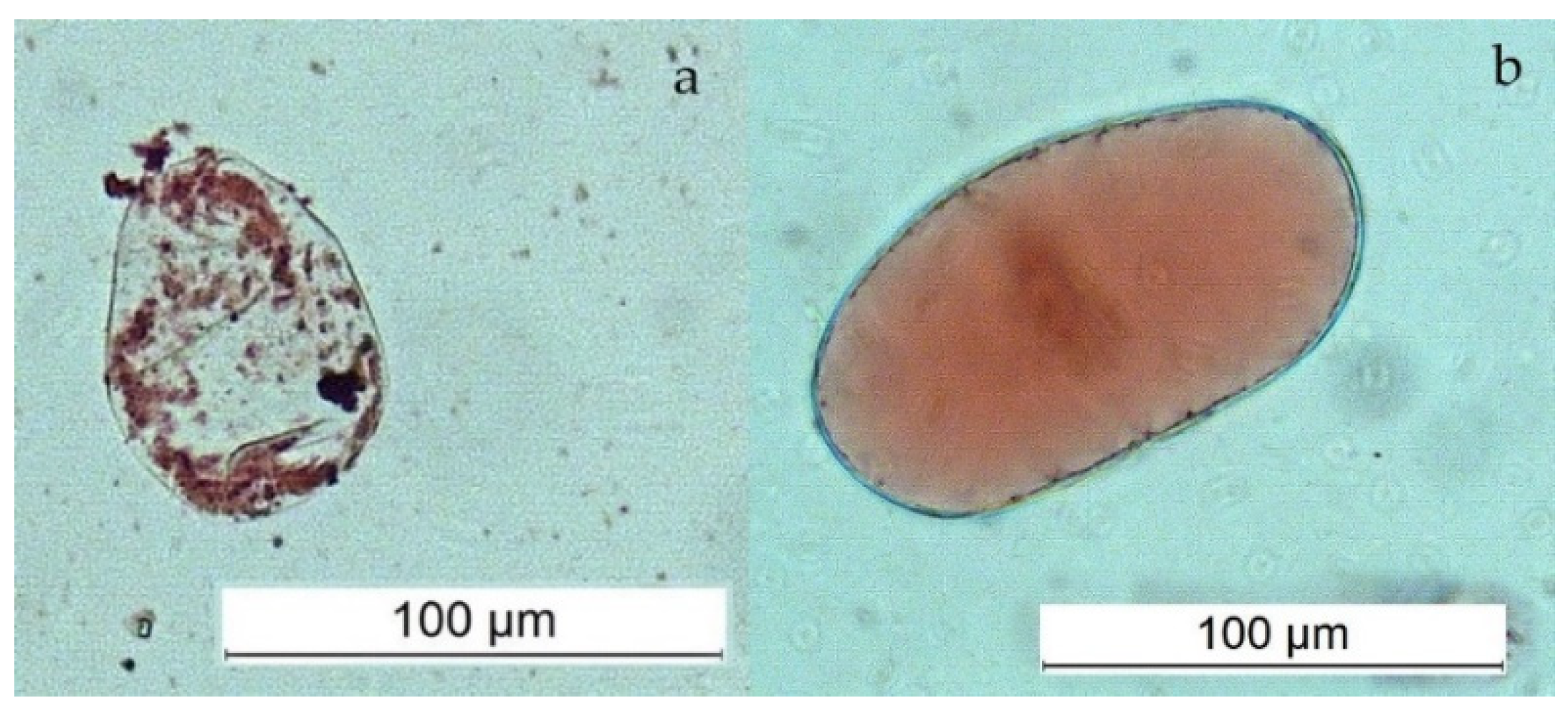 Preprints 71578 g004