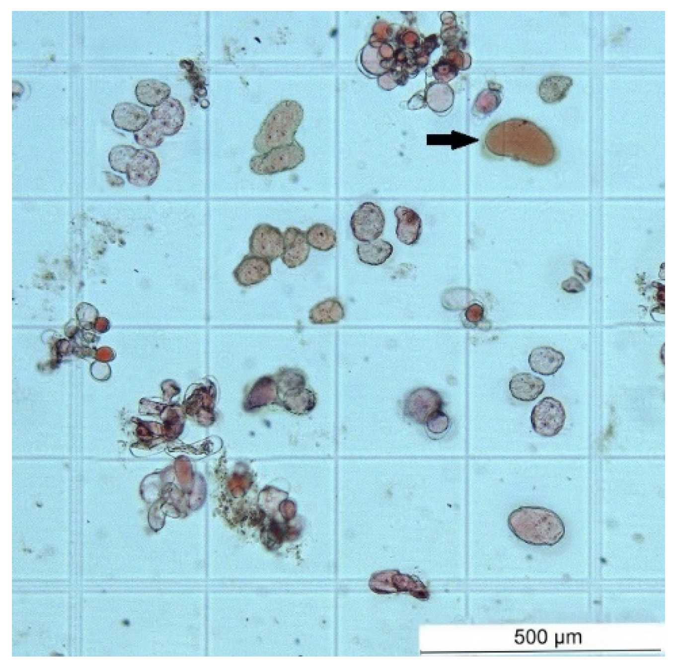 Preprints 71578 g009