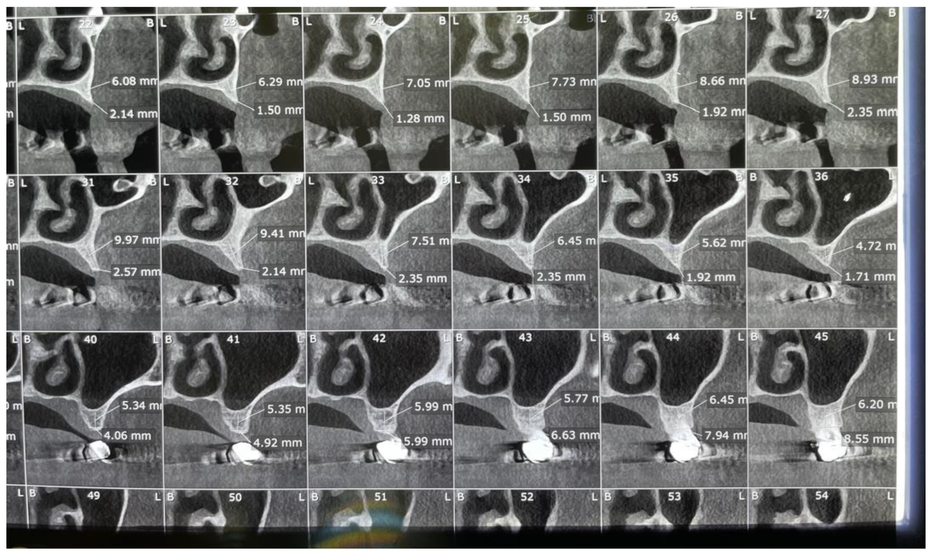 Preprints 172730 g004