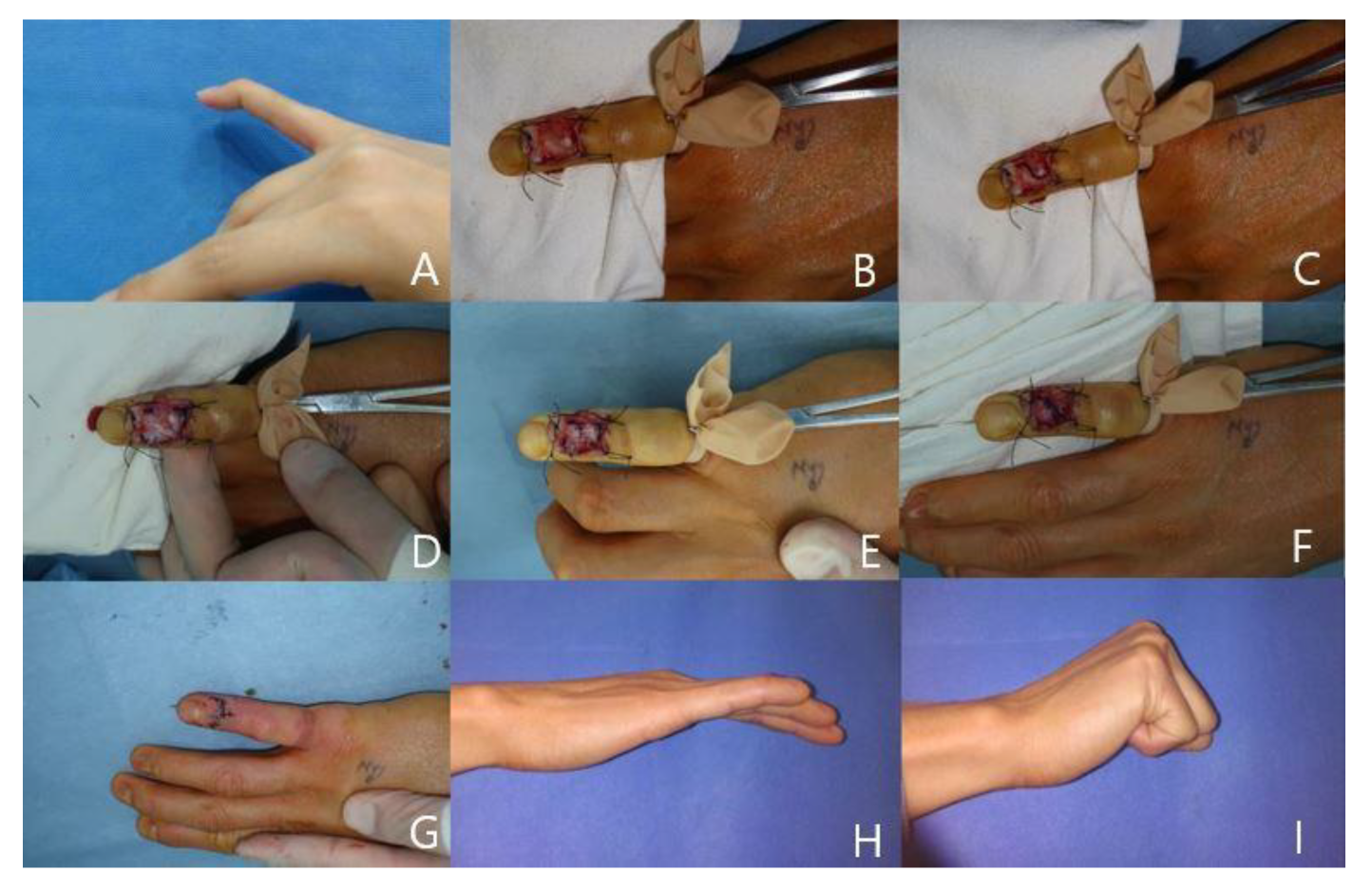 Preprints 104248 g002