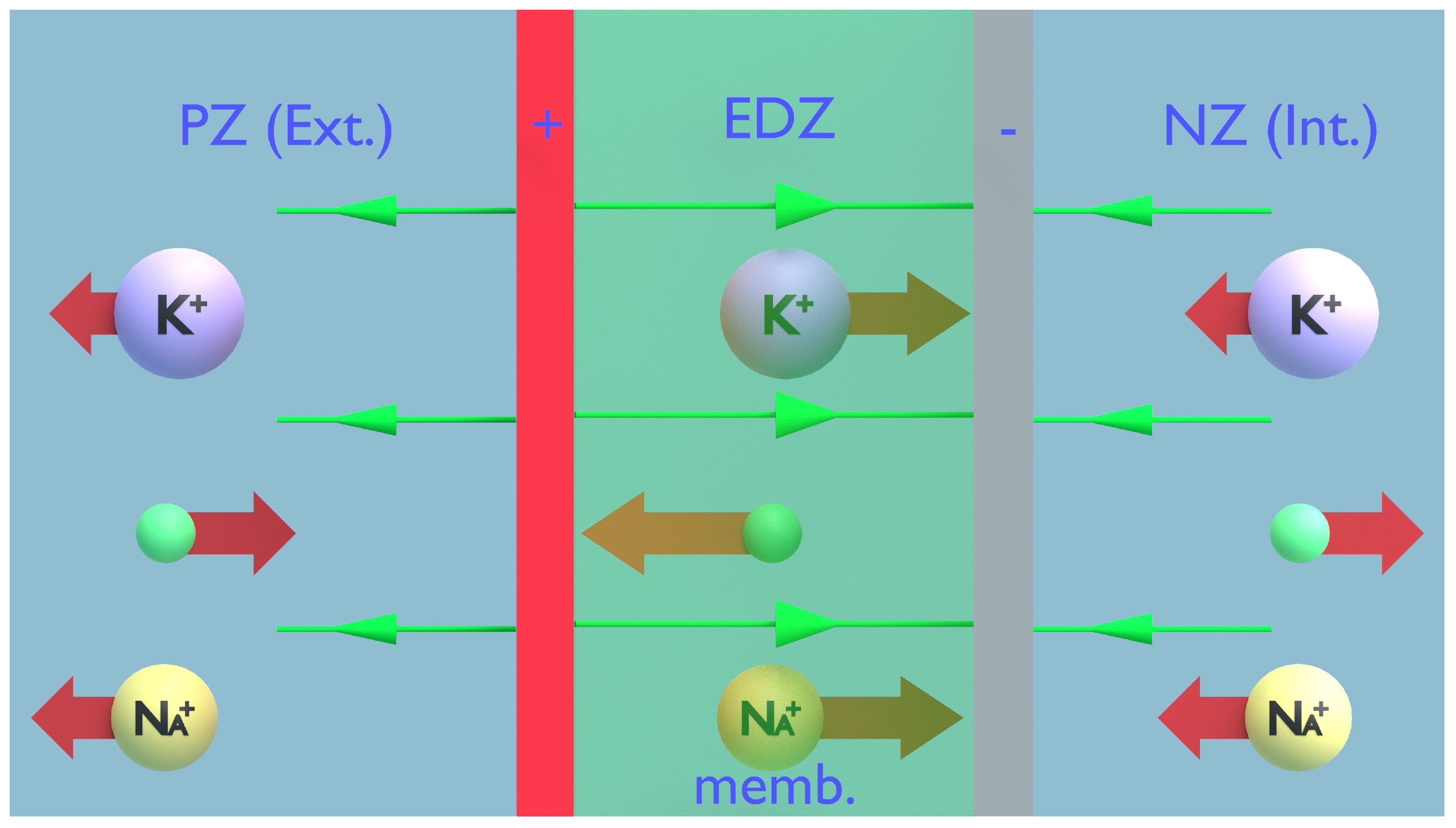 Preprints 143814 g006
