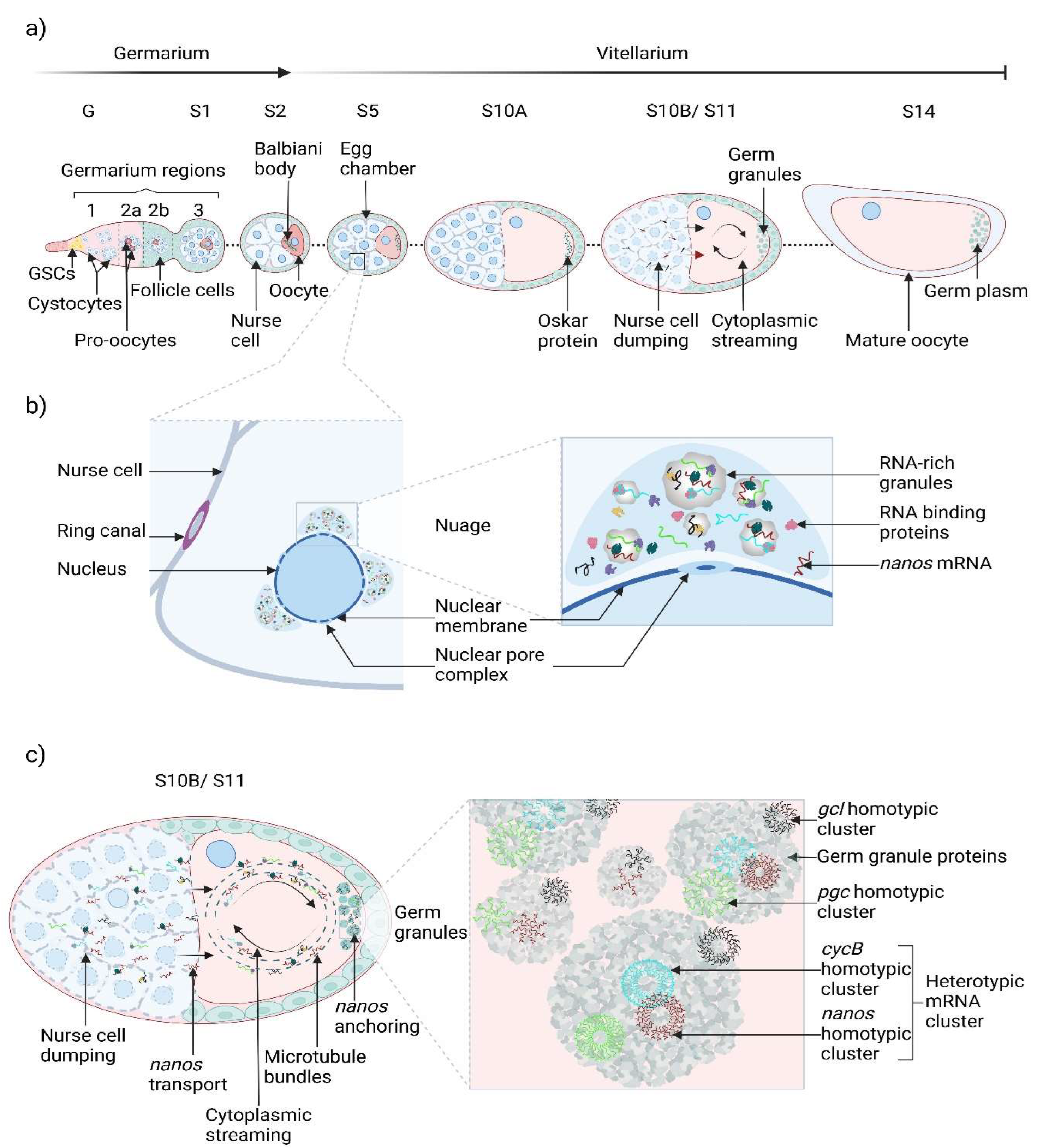 Preprints 140455 g002