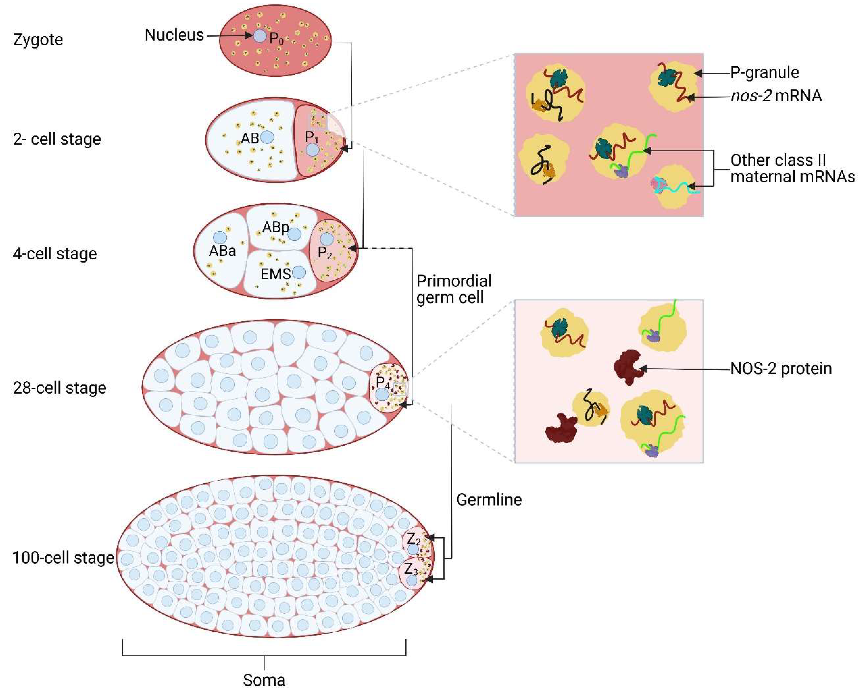 Preprints 140455 g003