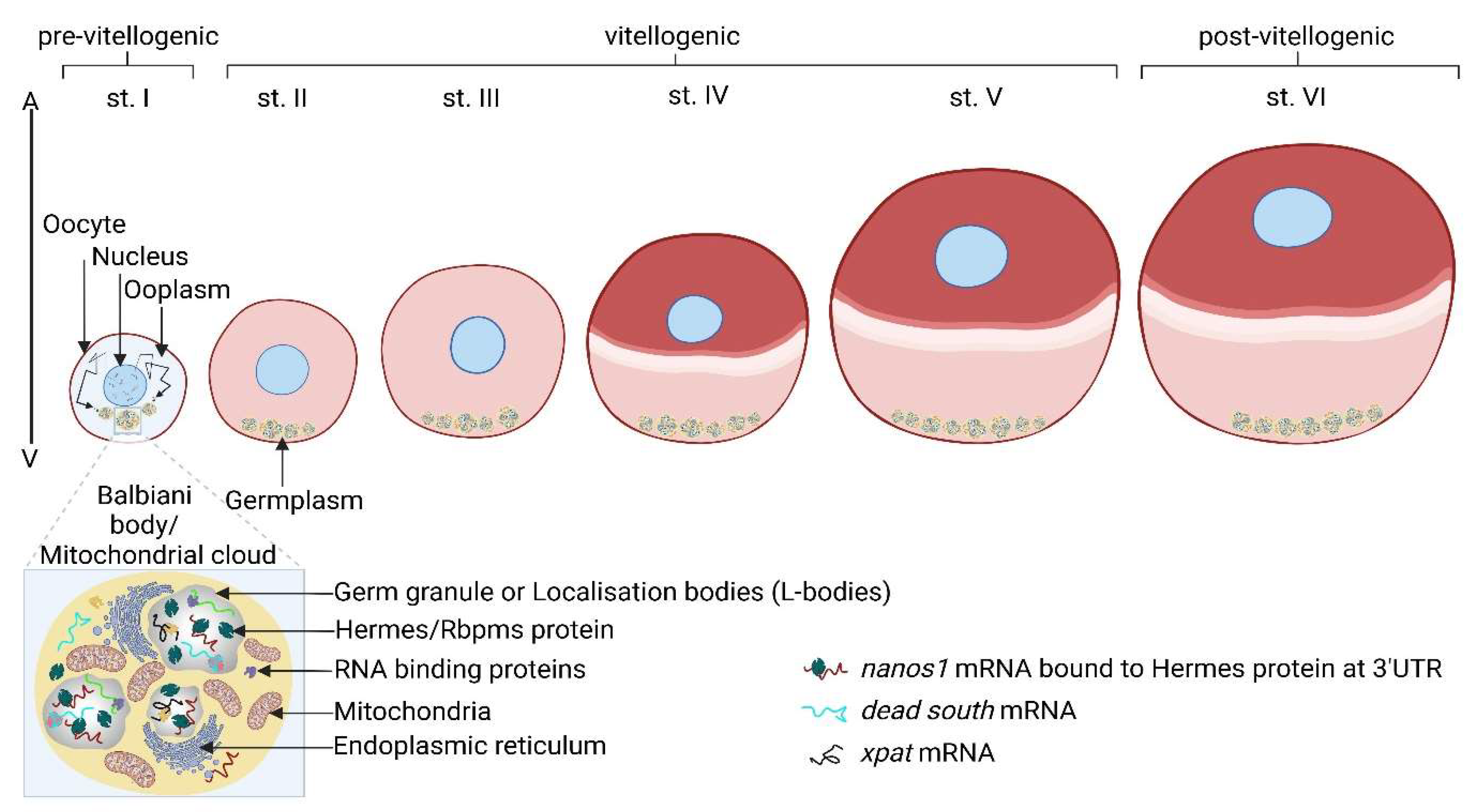 Preprints 140455 g004