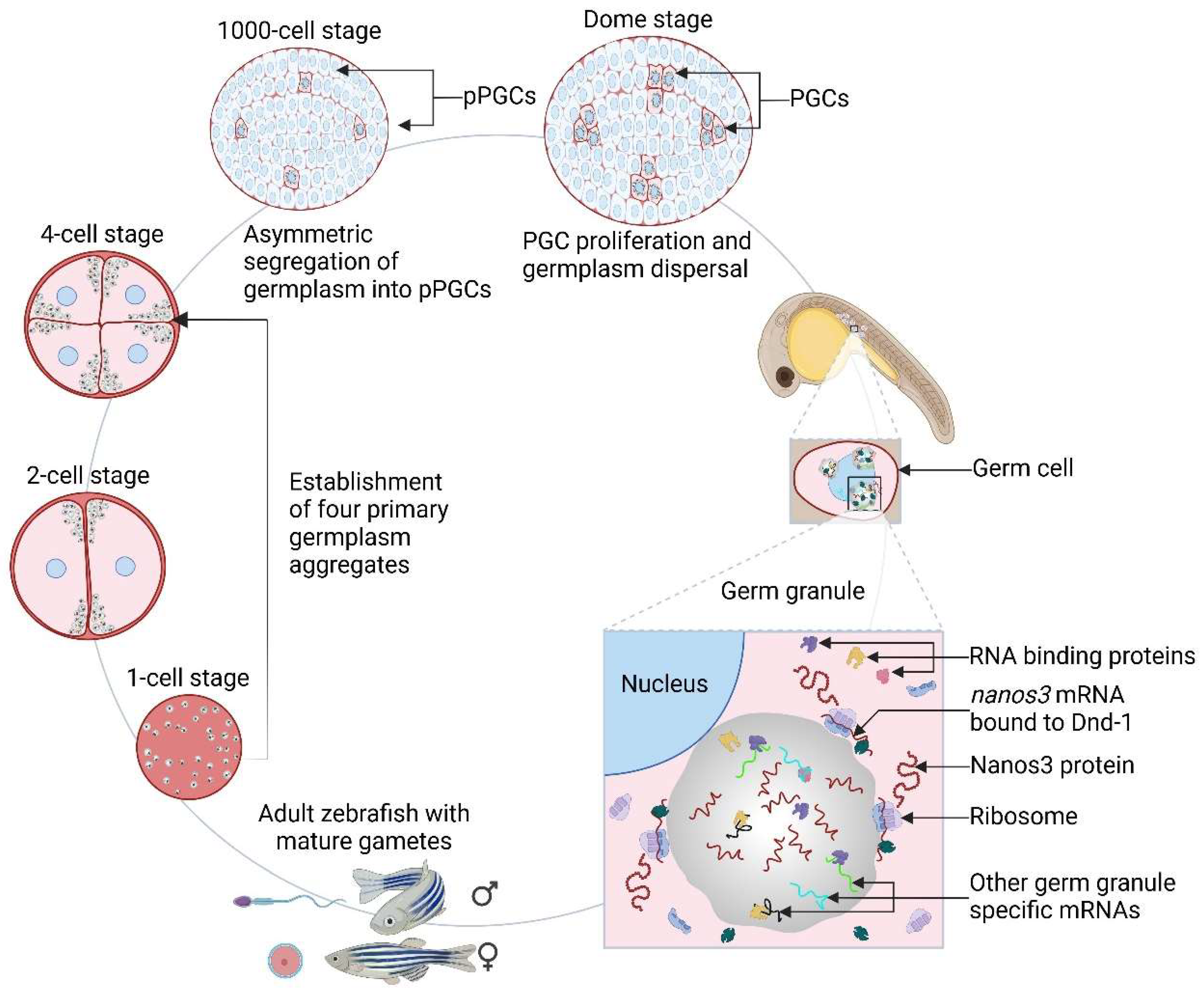 Preprints 140455 g005