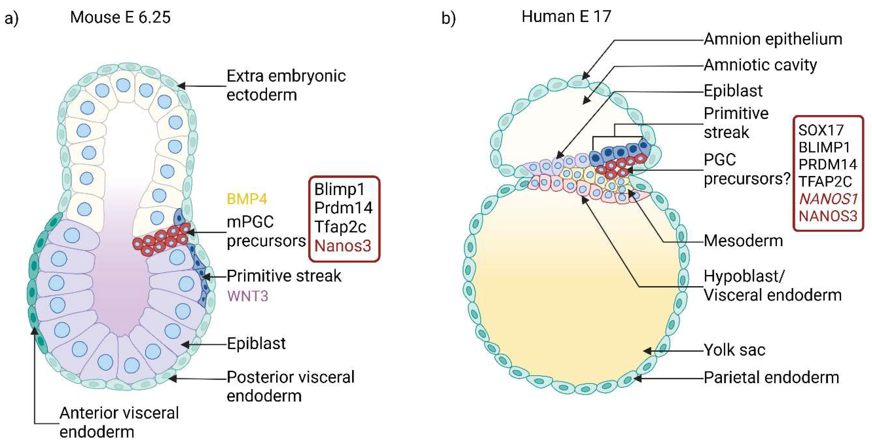 Preprints 140455 g006