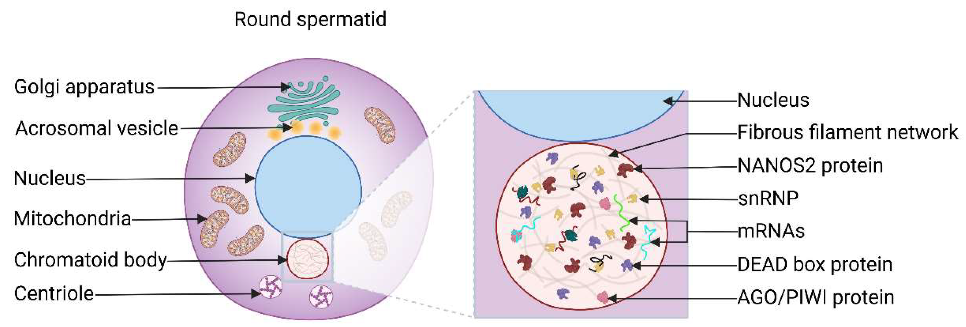 Preprints 140455 g007