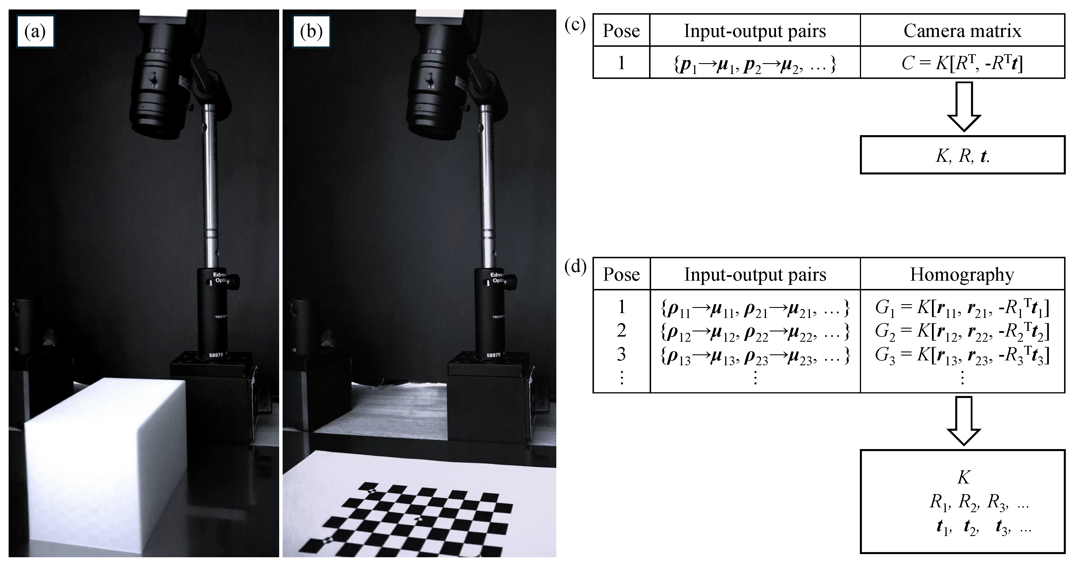 Preprints 145019 g010