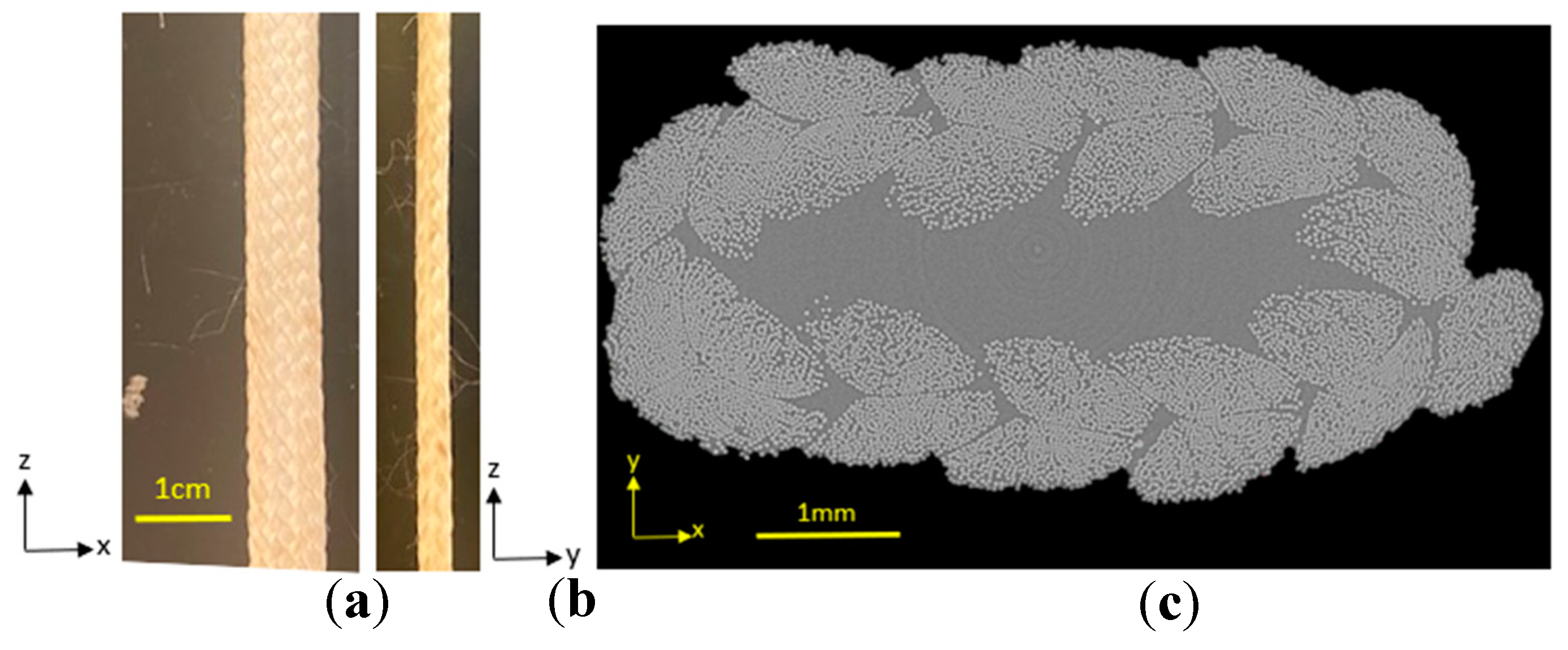 Preprints 150556 g001