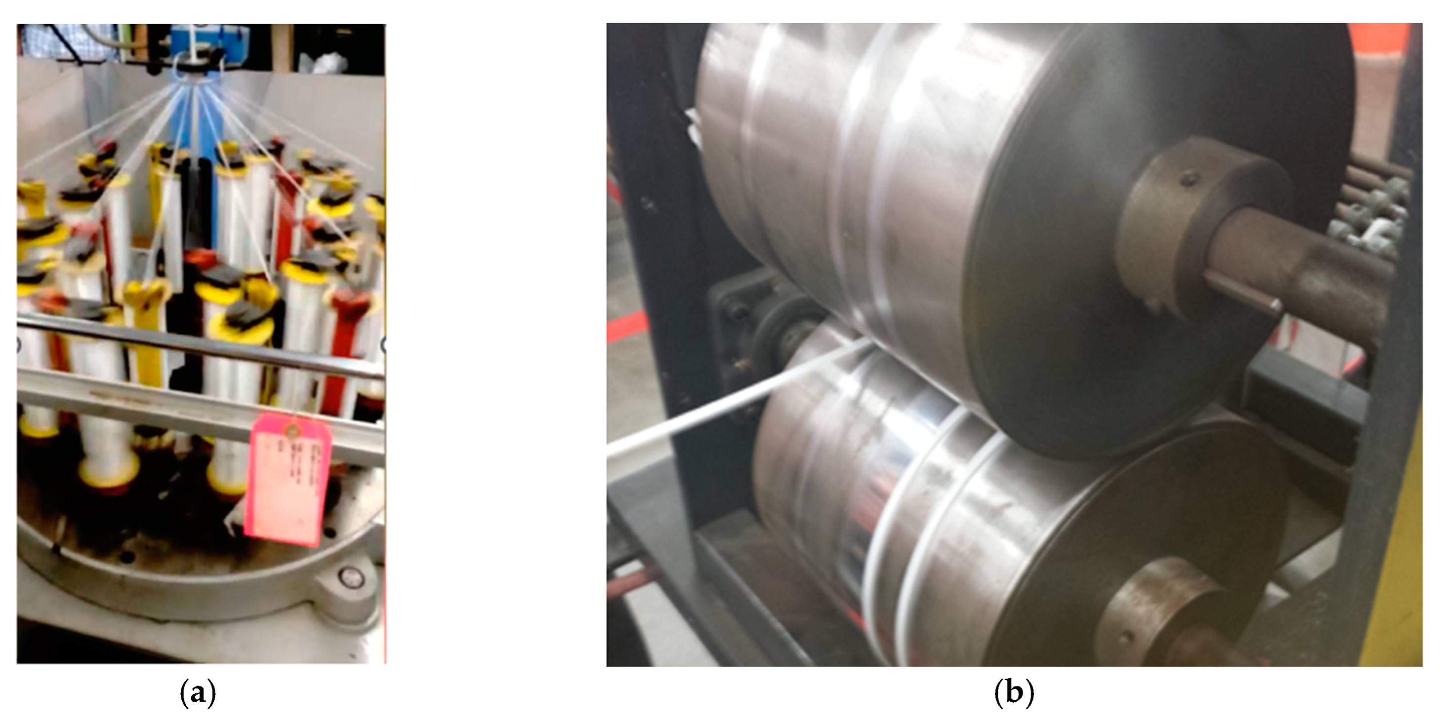 Preprints 150556 g002