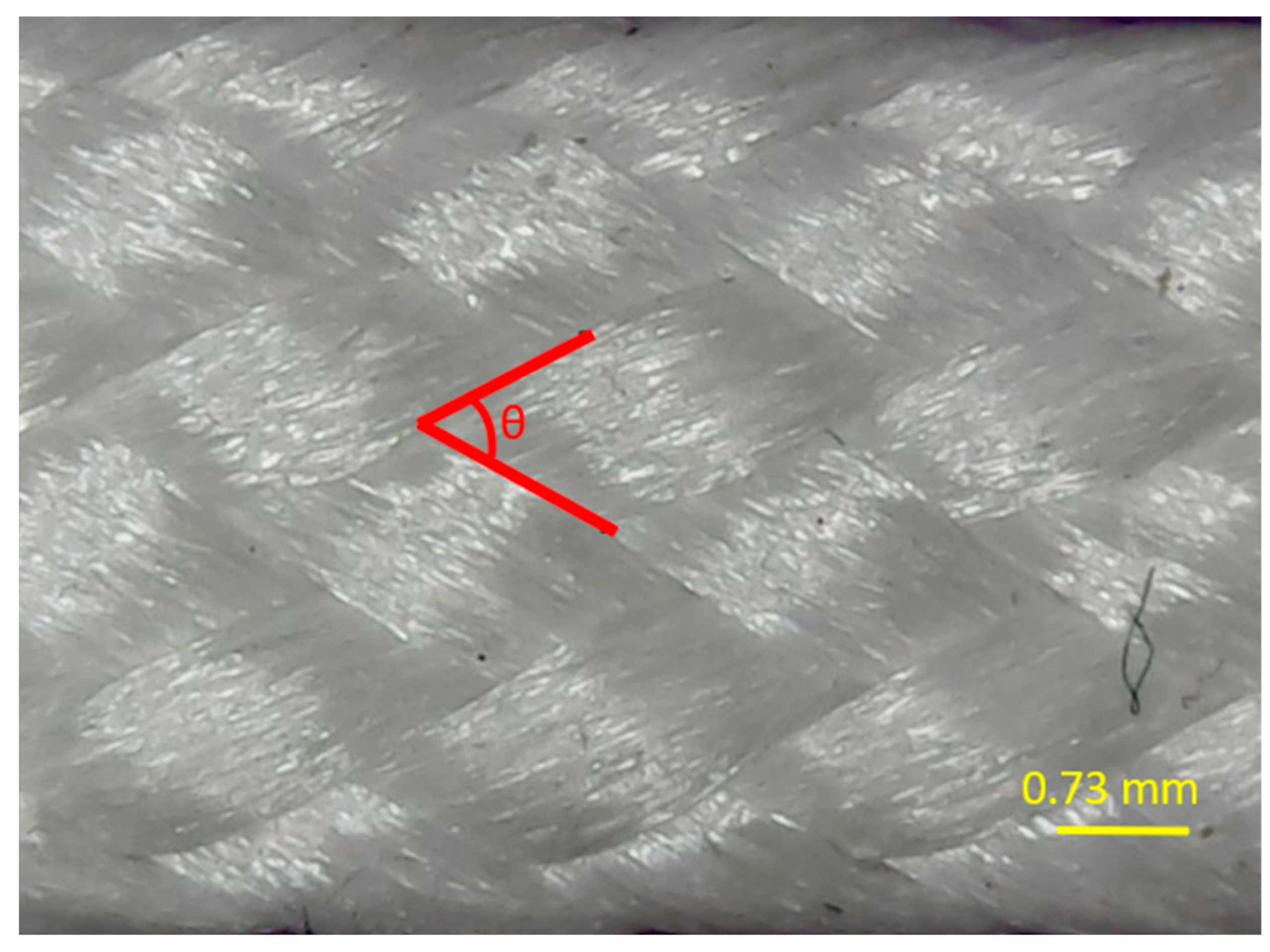 Preprints 150556 g004