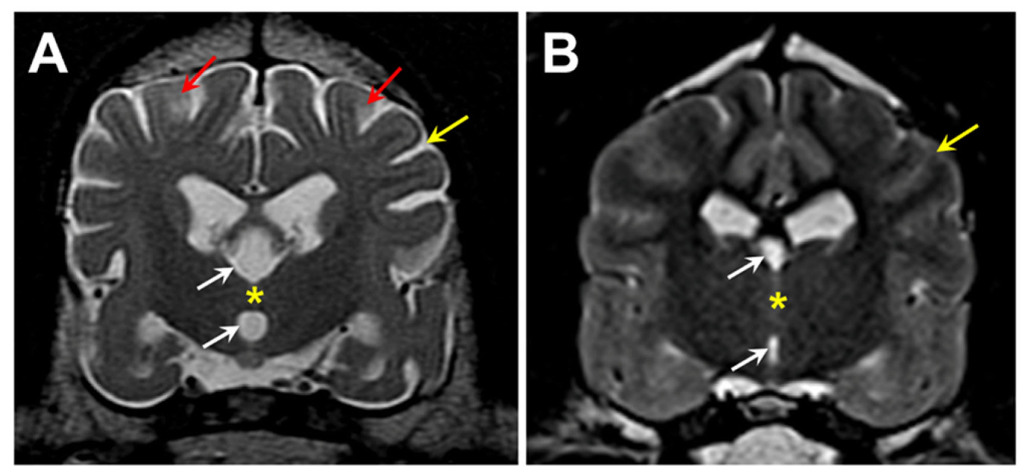 Preprints 97413 g001