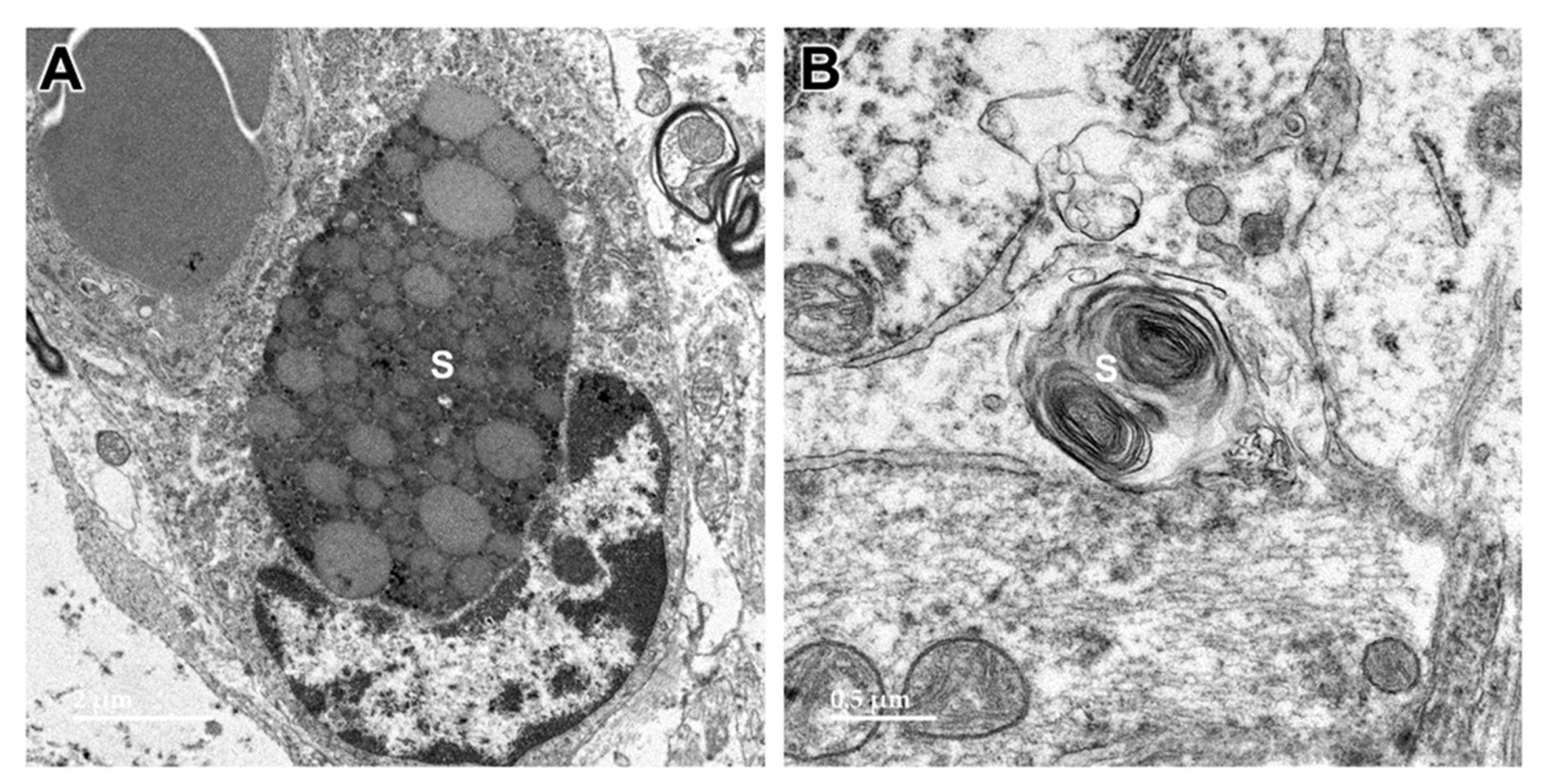 Preprints 97413 g007