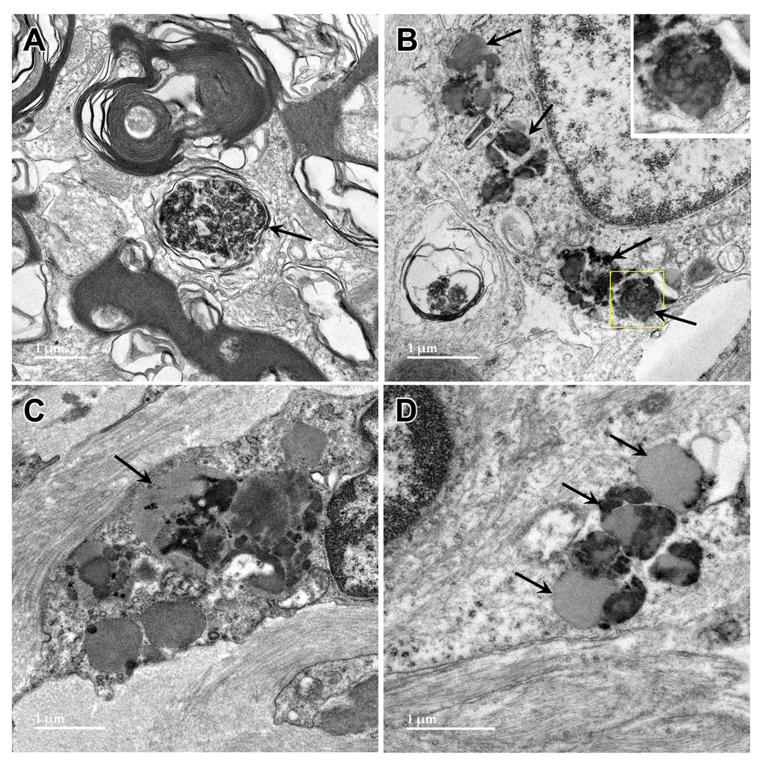 Preprints 97413 g010