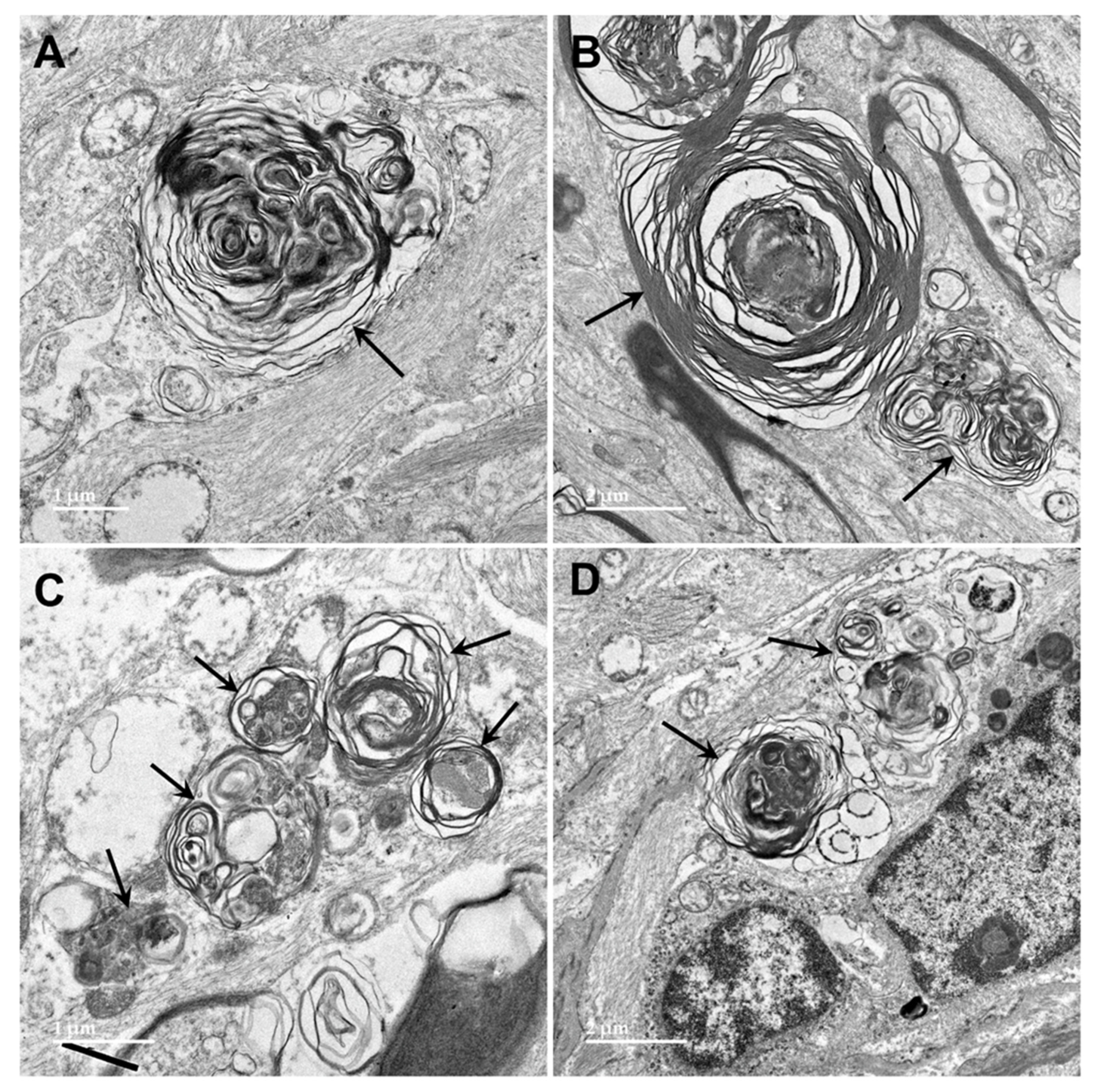 Preprints 97413 g013