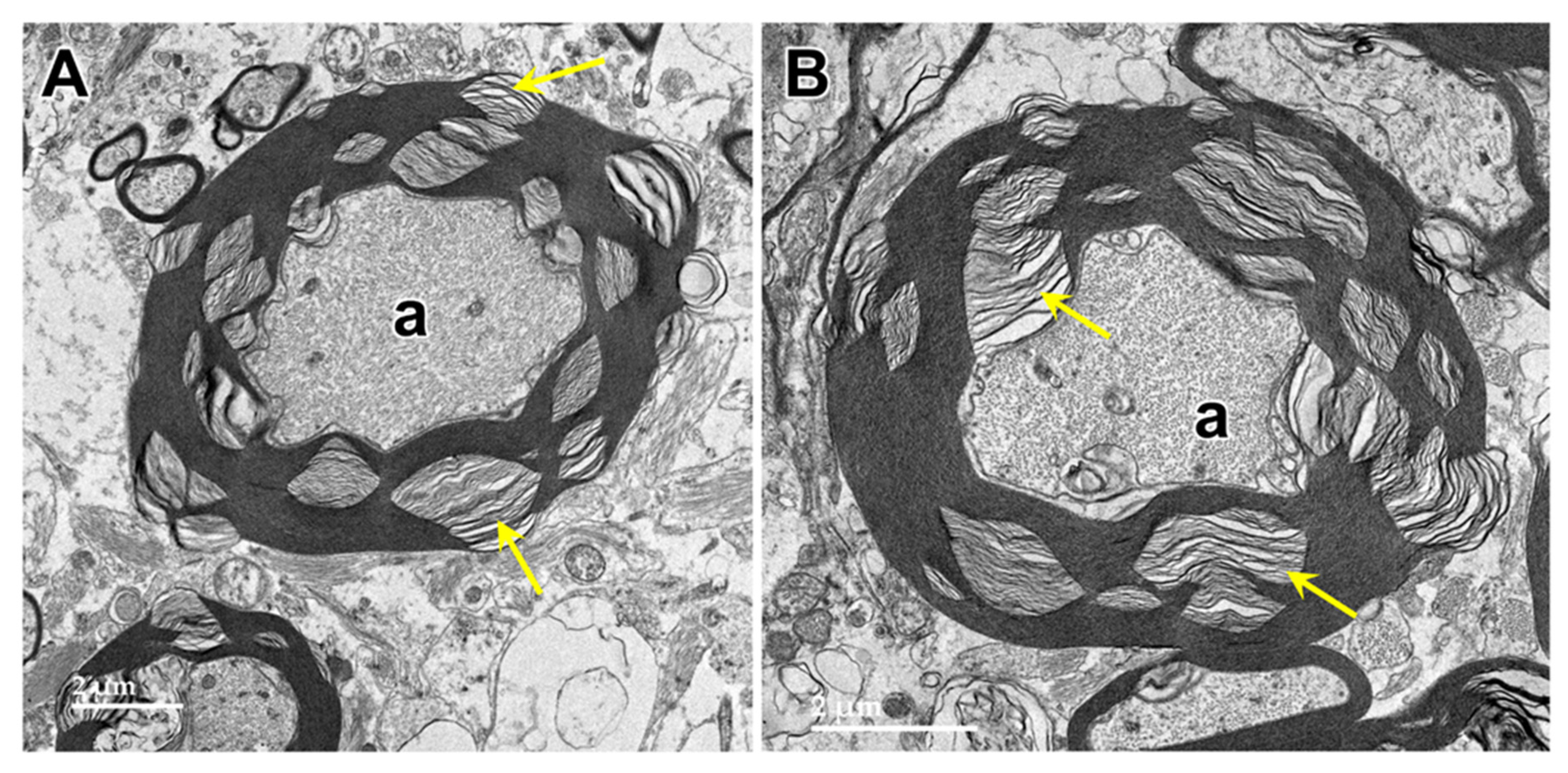 Preprints 97413 g015