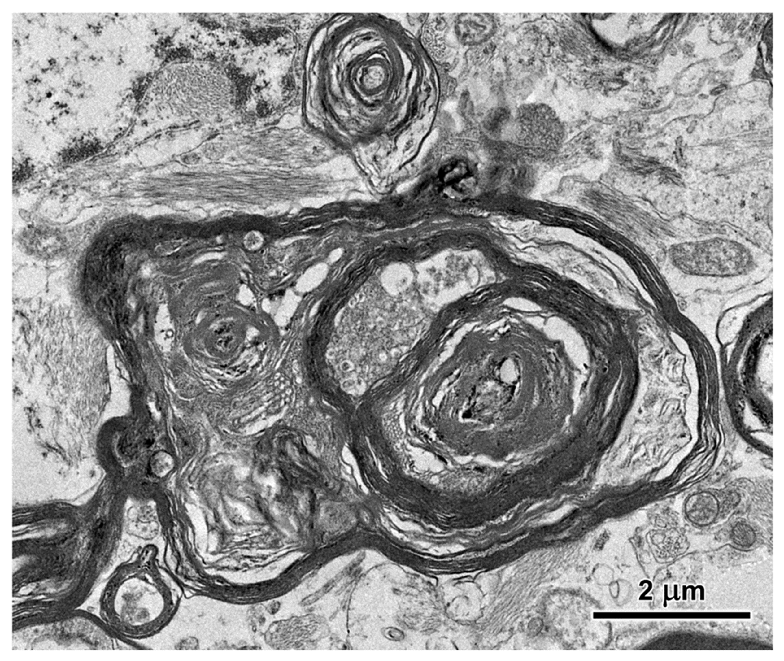 Preprints 97413 g016