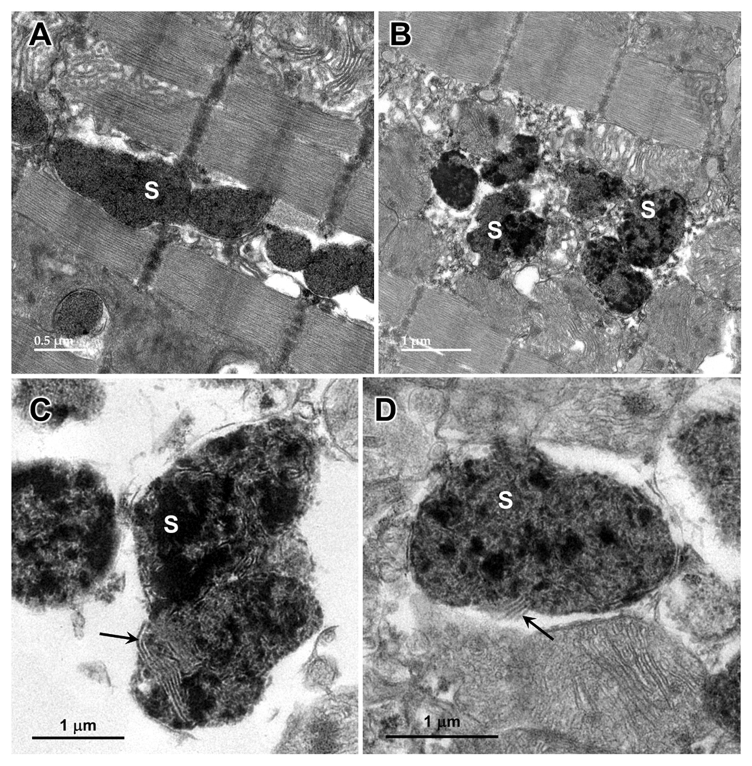 Preprints 97413 g017