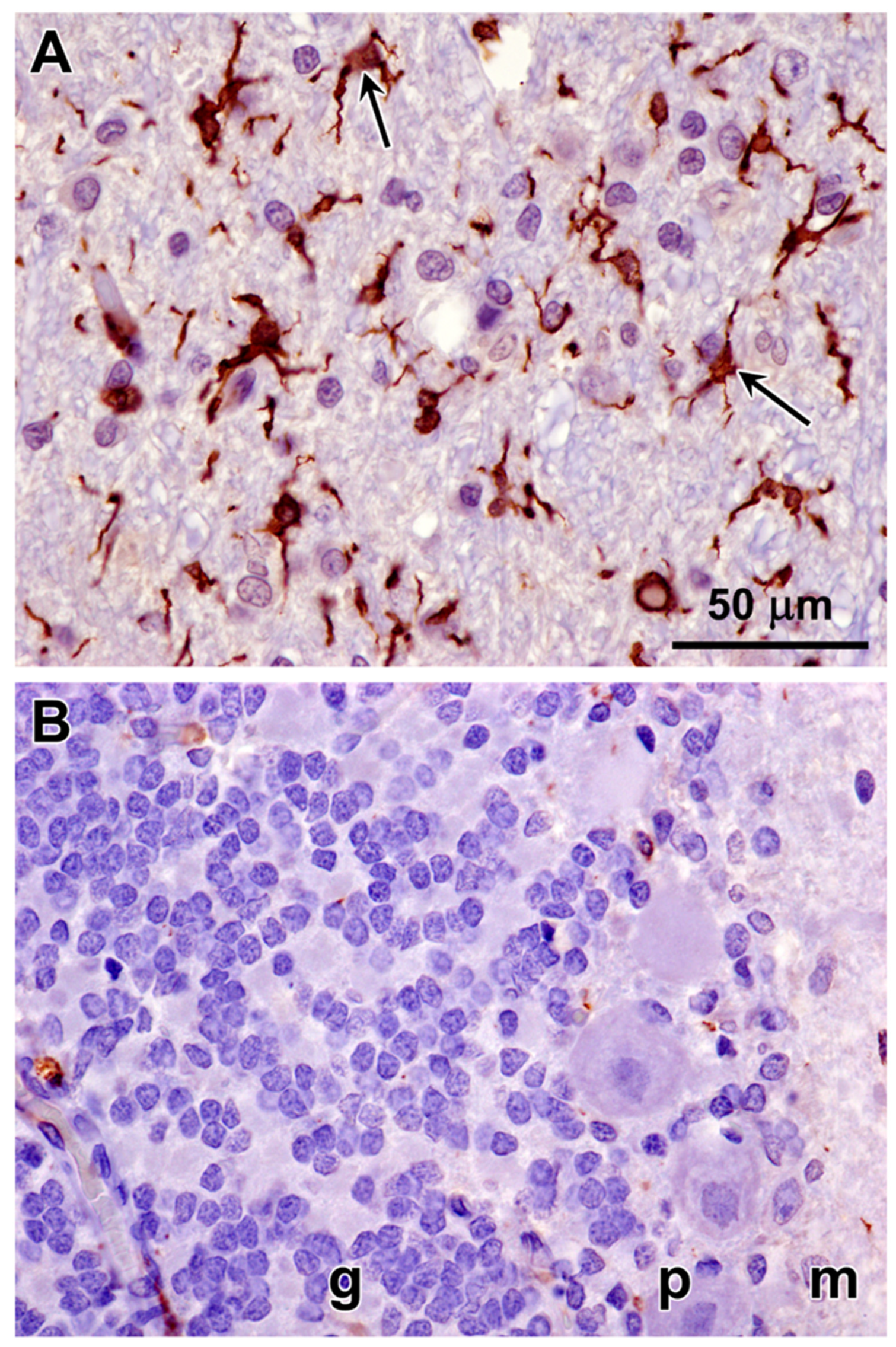 Preprints 97413 g022